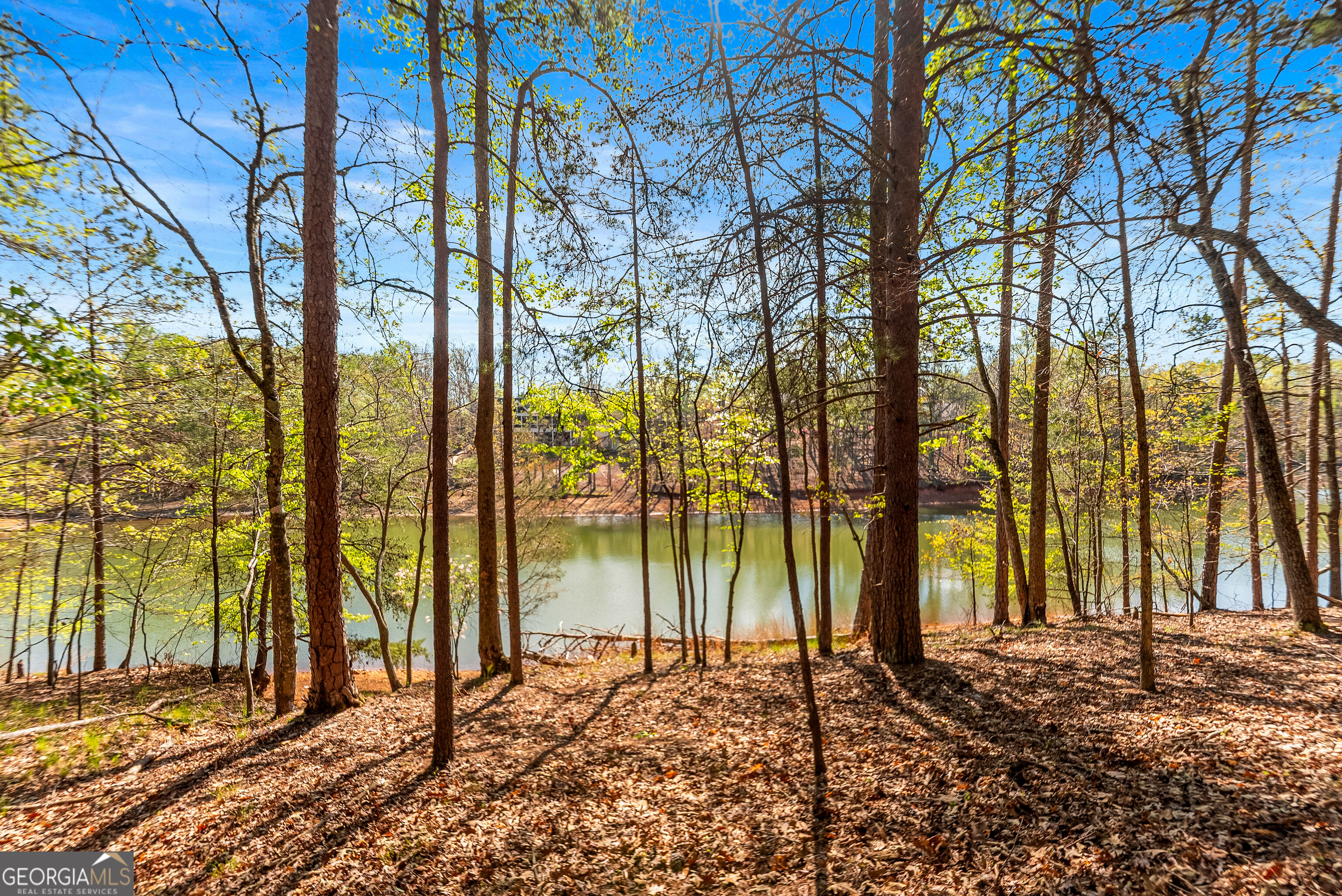 6221 Random Winds Bluff Property Photo 89