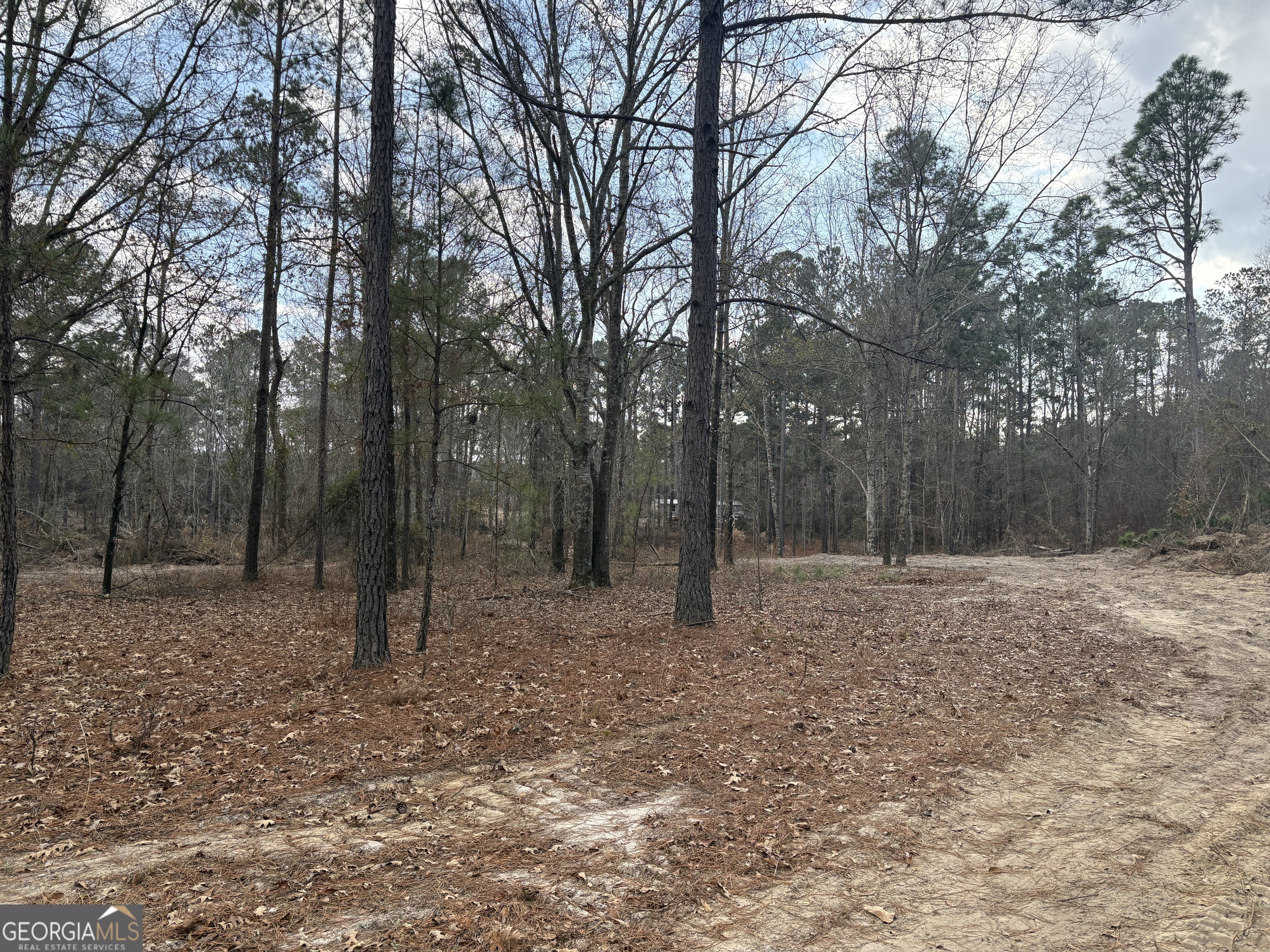 0 Ga Hwy 338 (taylor Grocery Rd) Property Photo 1