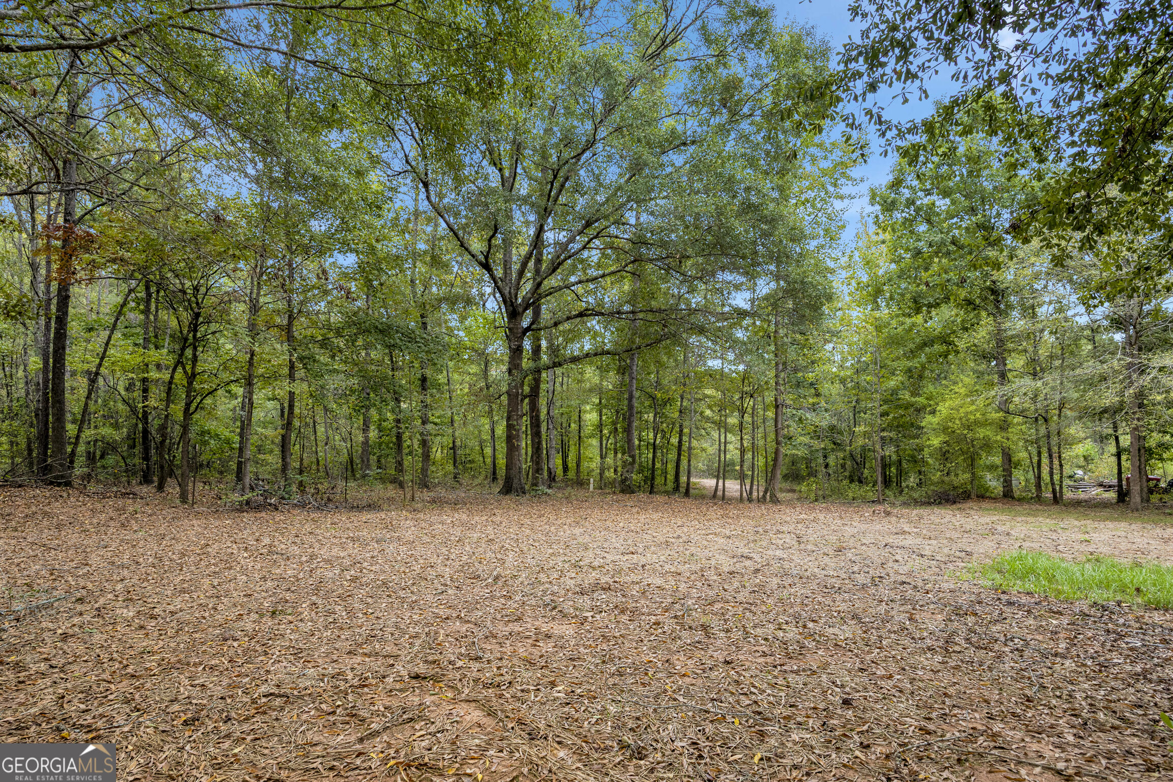 215 Falcon Ridge Property Photo 36