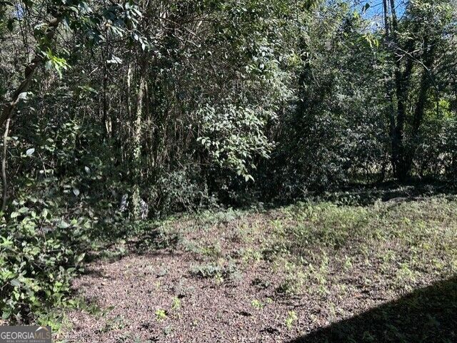 1121 Lyons Street Property Photo 17