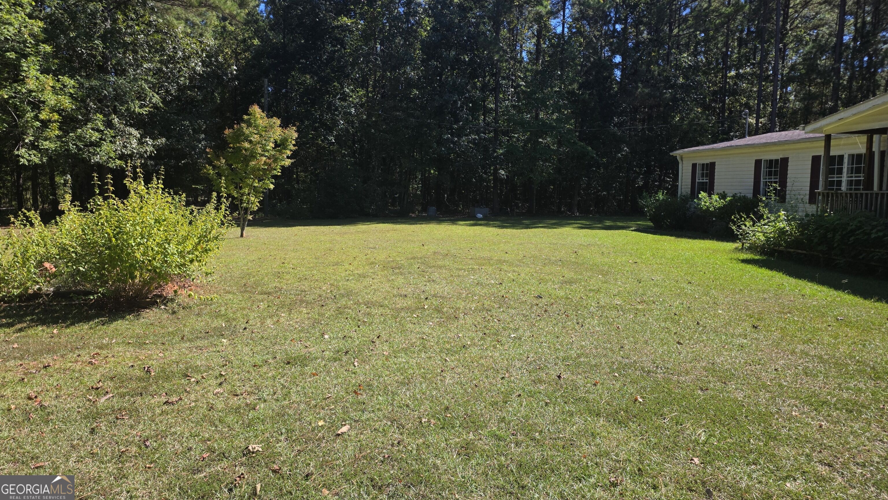 1249 Bobby Brown State Park Road Property Photo 2