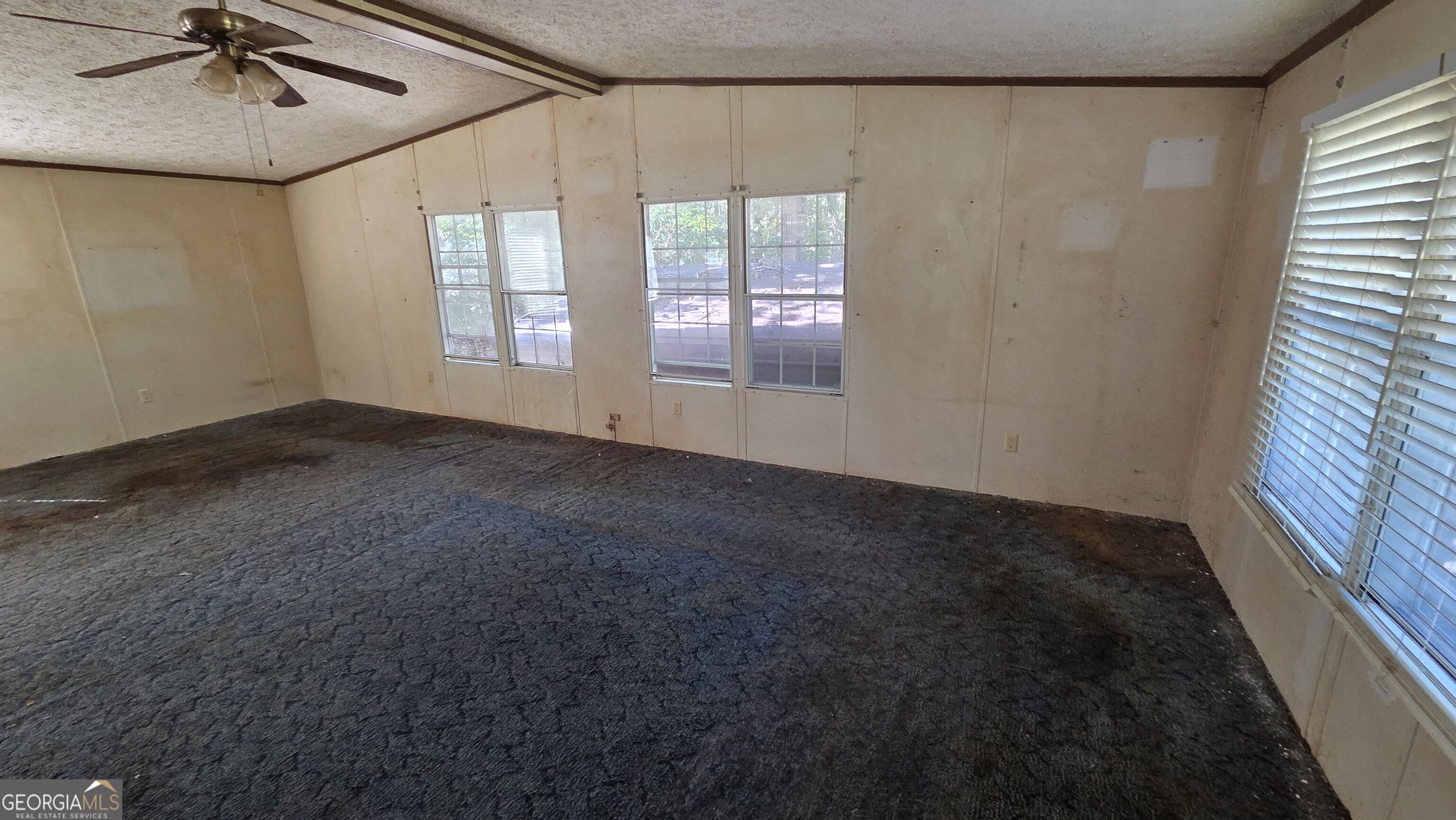 1249 Bobby Brown State Park Road Property Photo 4