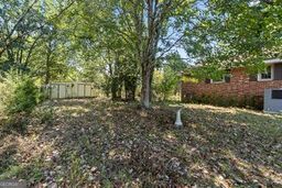 520 Morris Road Property Photo 25