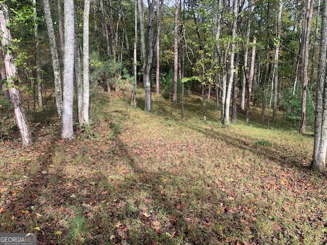 LOT 132 Fox Cove Road