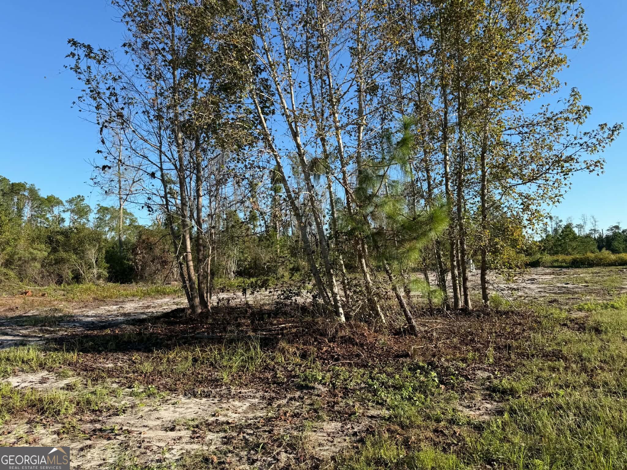 2096 Sellers Road Property Photo 47