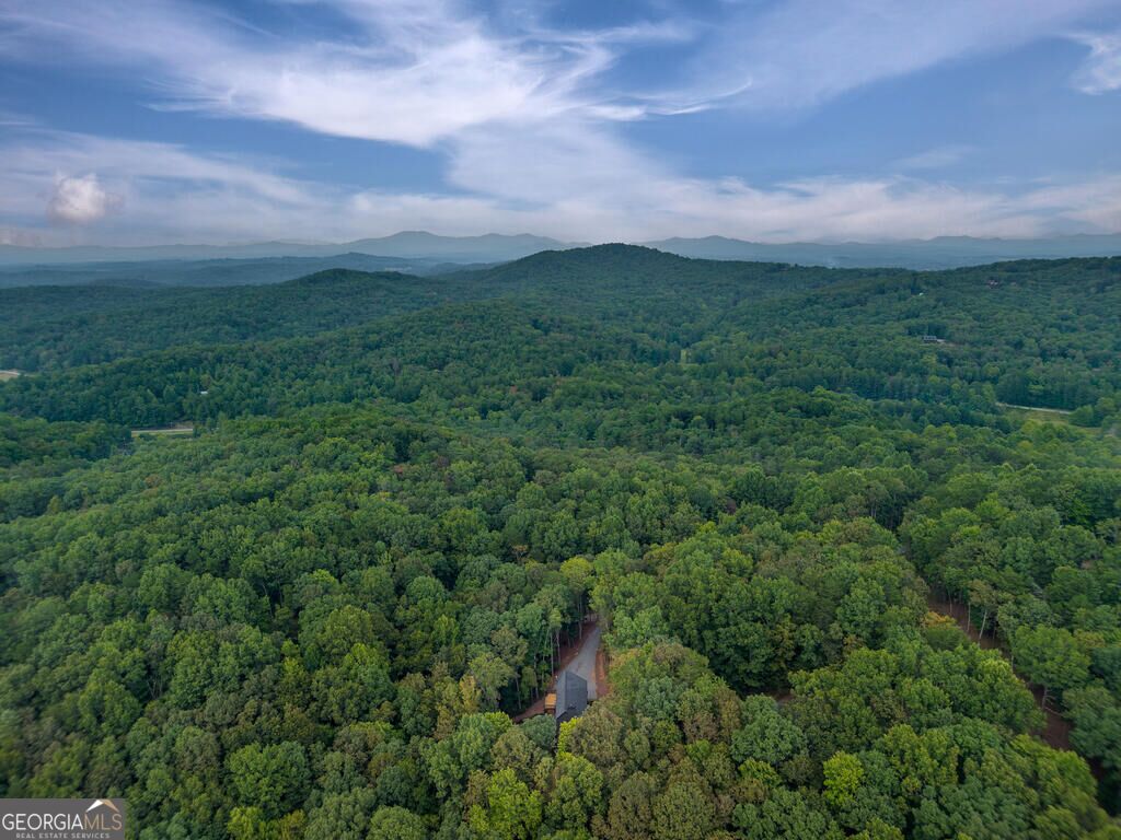 63 Laurel Trace Property Photo 5