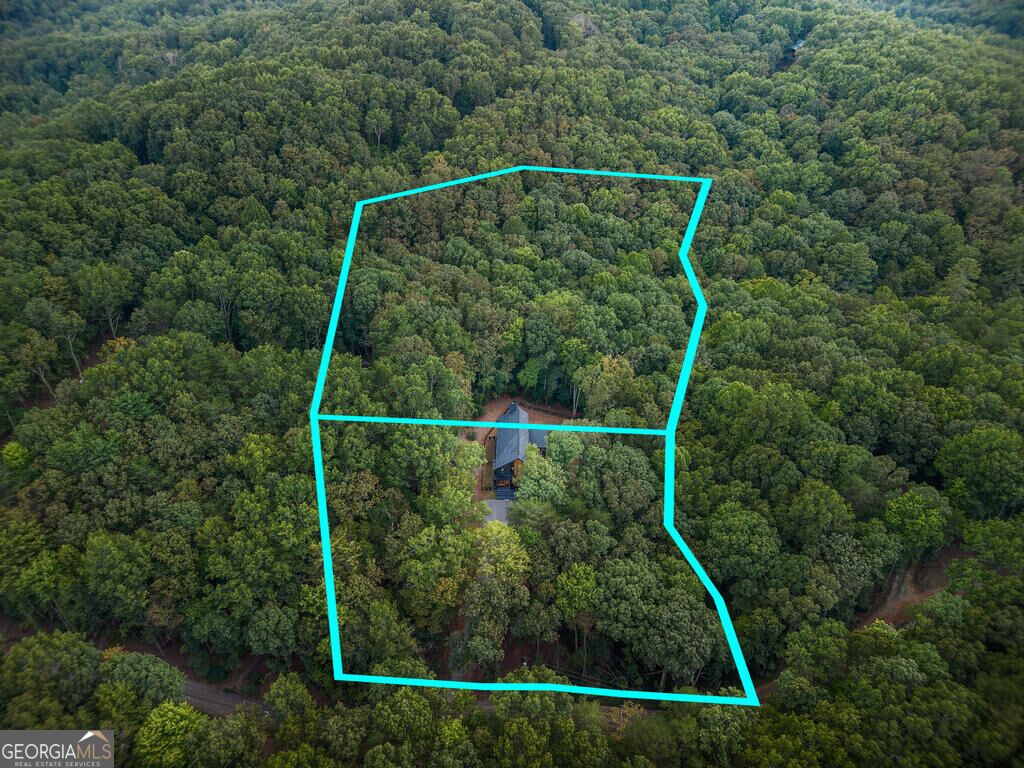 63 Laurel Trace Property Photo 8
