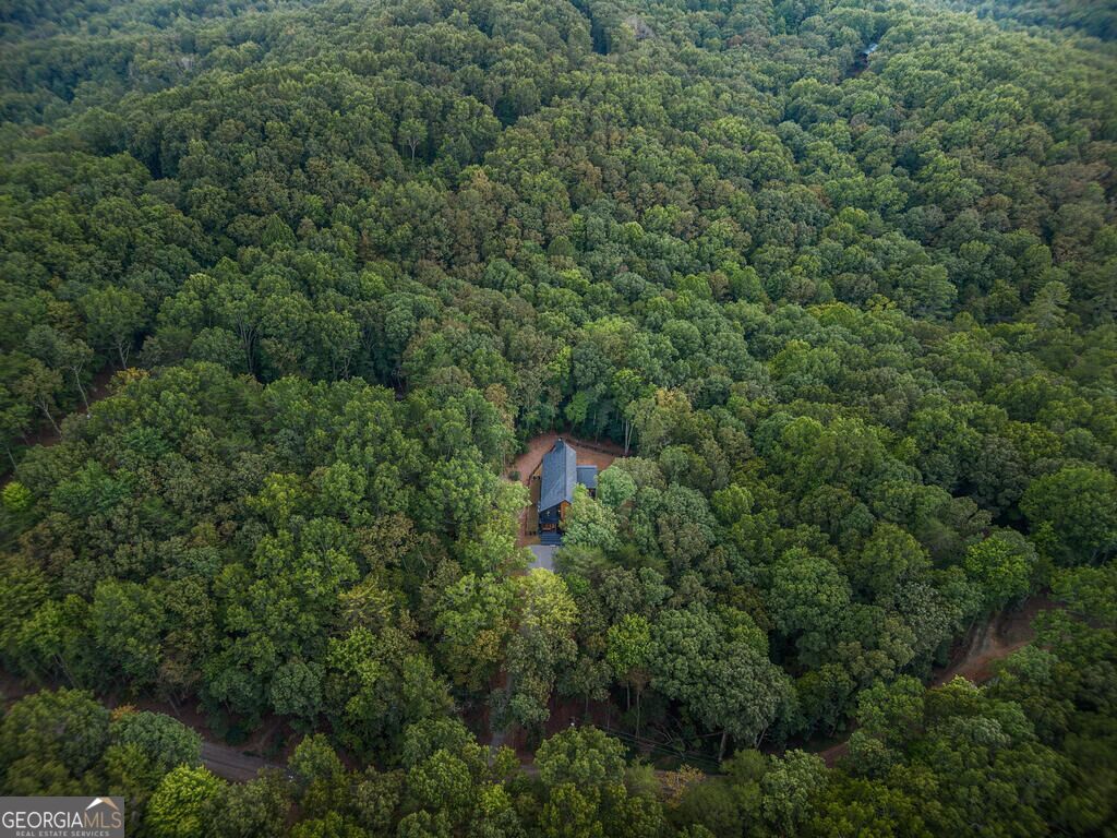 63 Laurel Trace Property Photo 109
