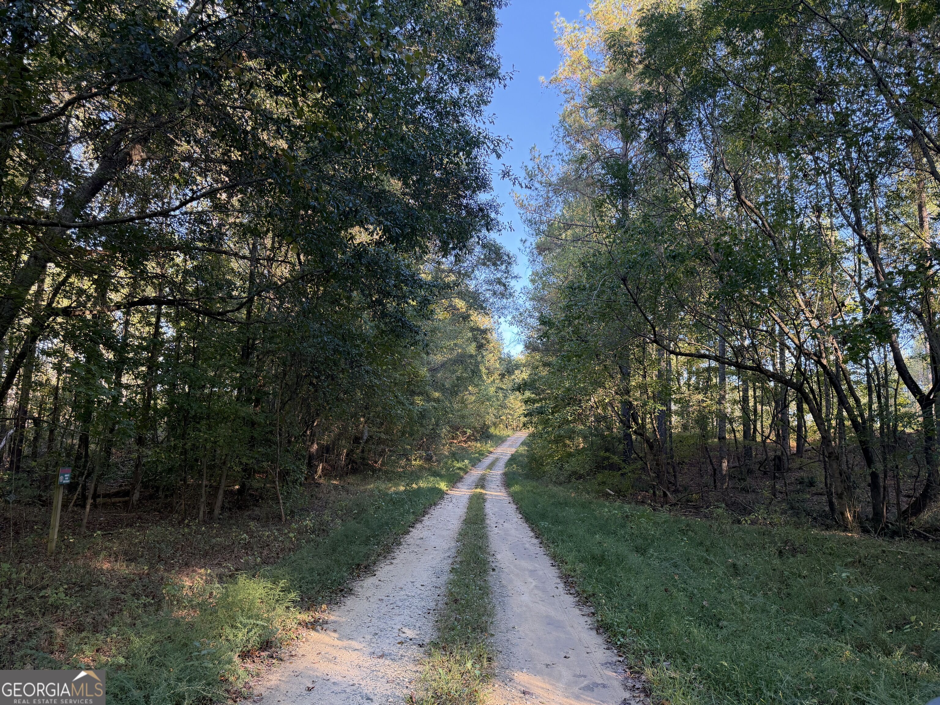0 Adolphus Callaway Road Property Photo 1