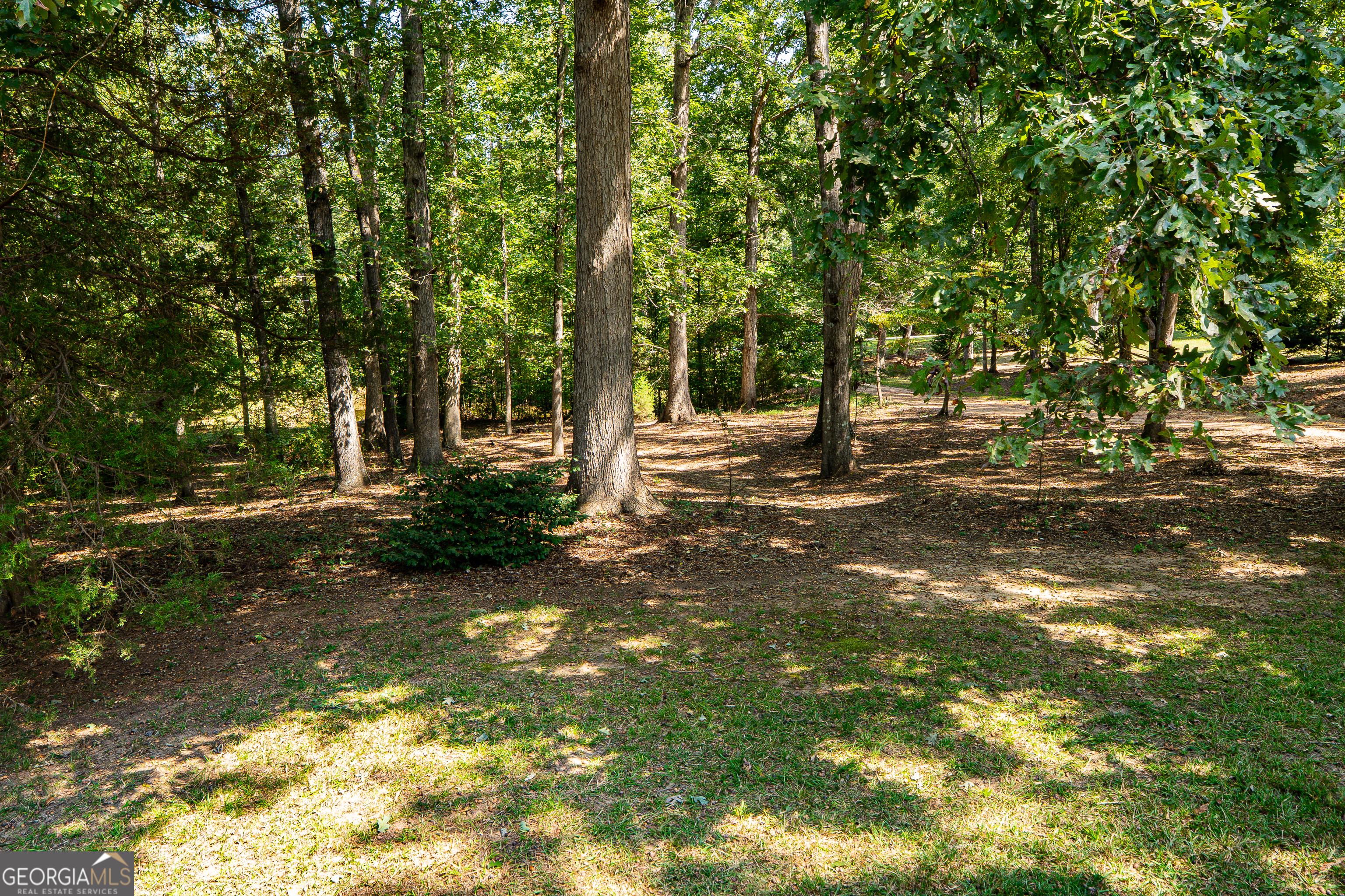 2428 Rogers Church Road Property Photo 17