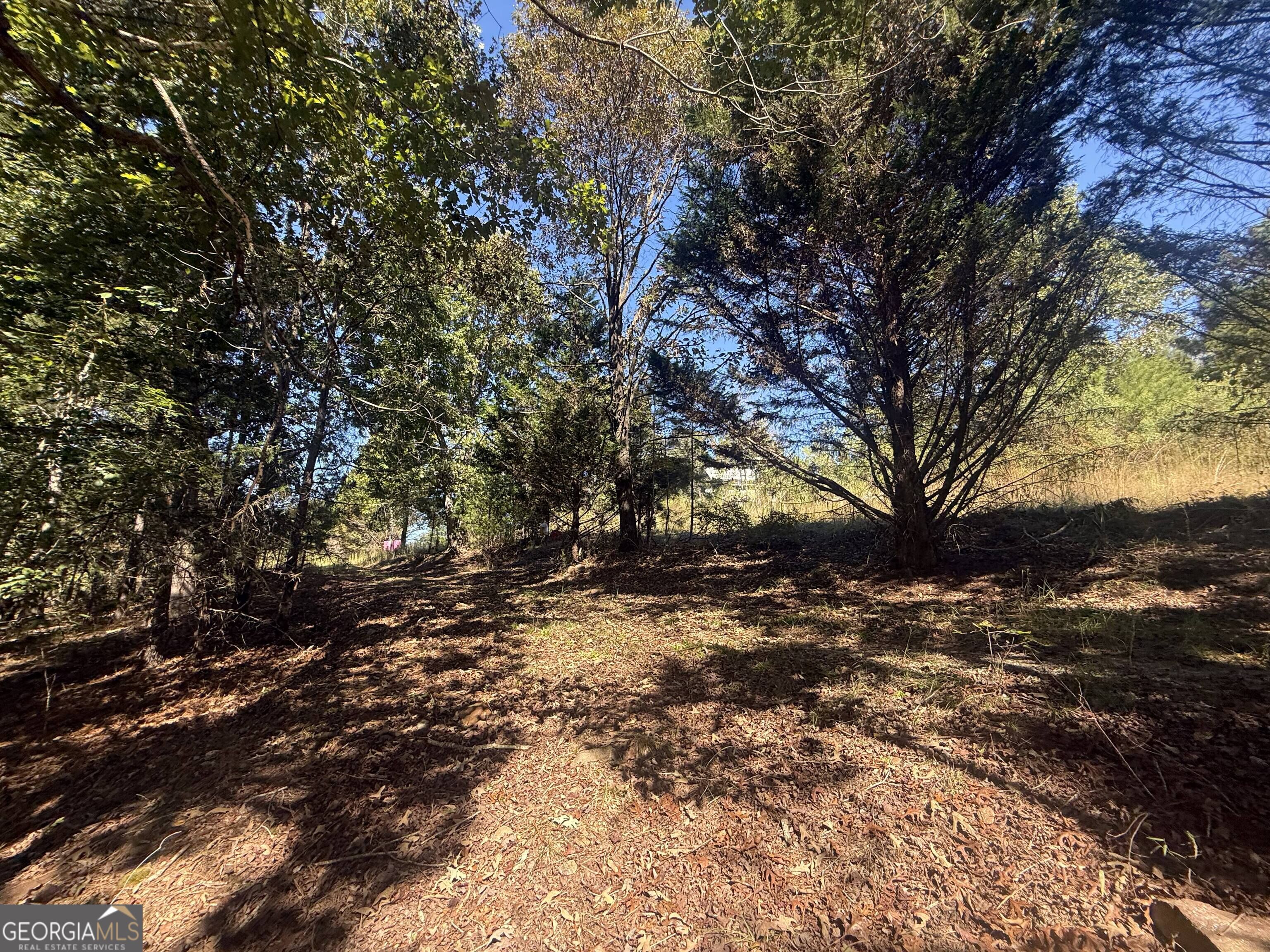 3565 King Hall Mill Road Property Photo 15