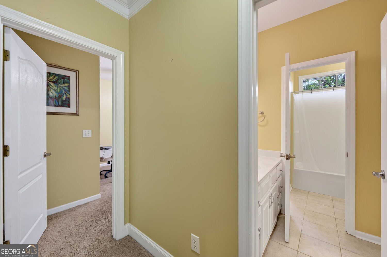 20 Balfour Drive Property Photo 18