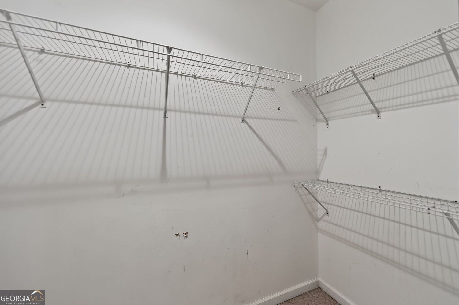 20 Balfour Drive Property Photo 43