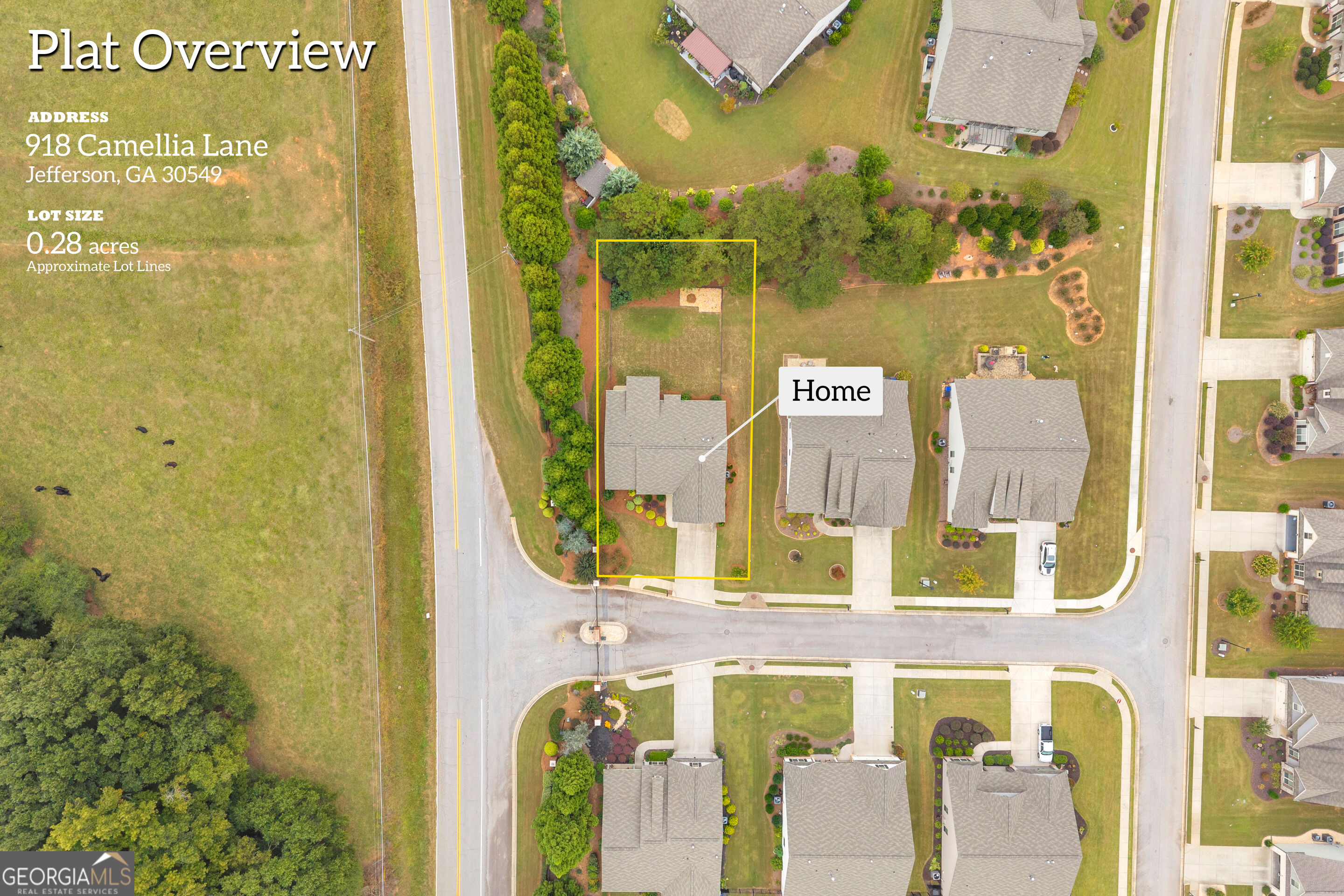 918 Camellia Lane Property Photo 49