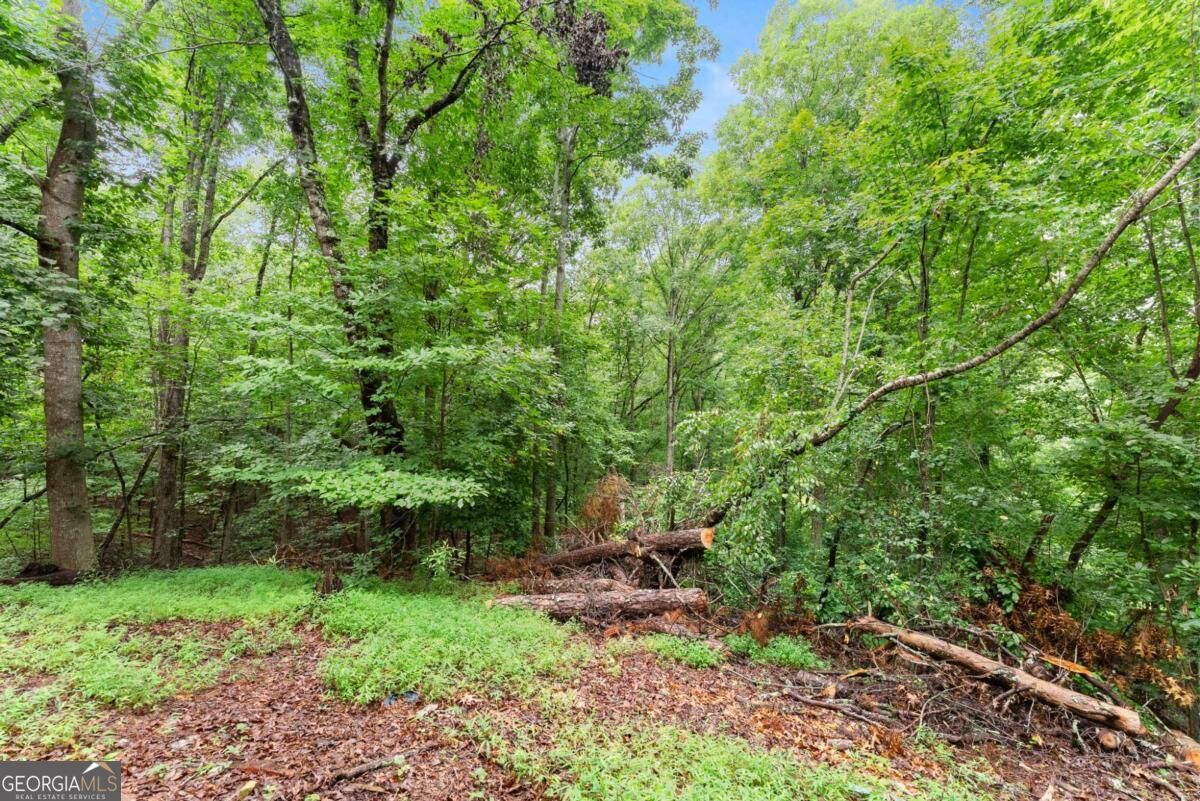 195 Golden Avenue Property Photo 39