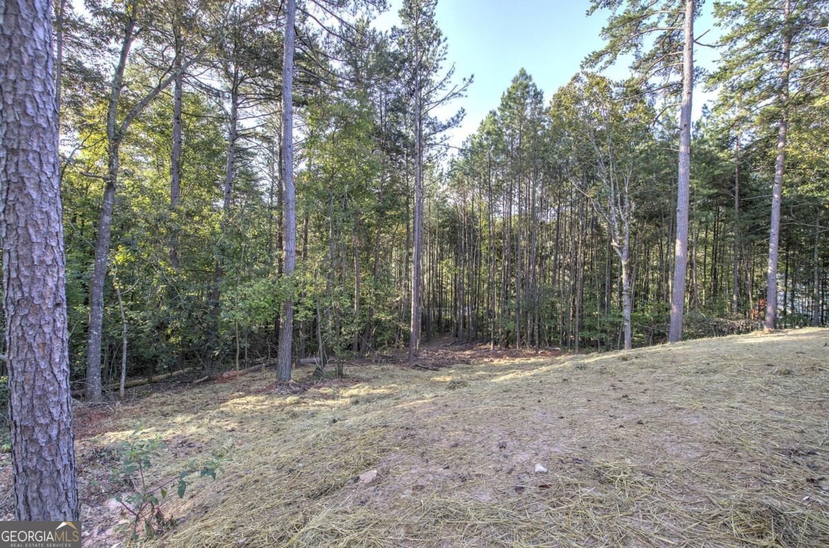 7467 Yukon Road Property Photo 46