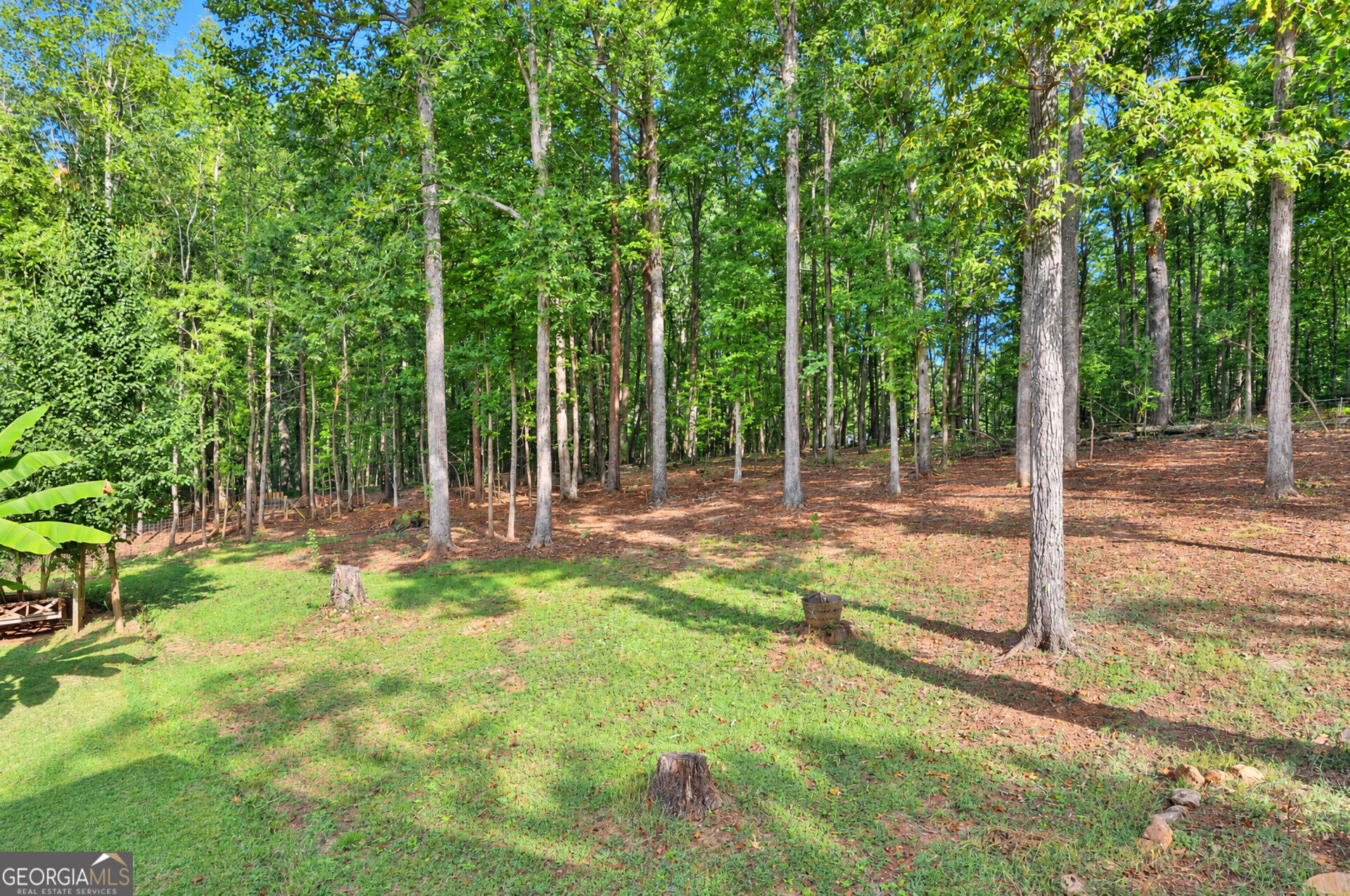 269 Grooms Road Property Photo 71