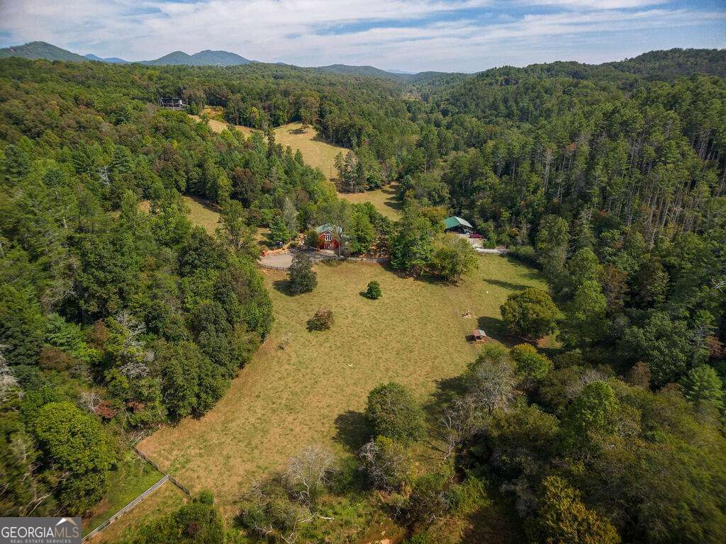 619 Young Stone Drive Property Photo 14