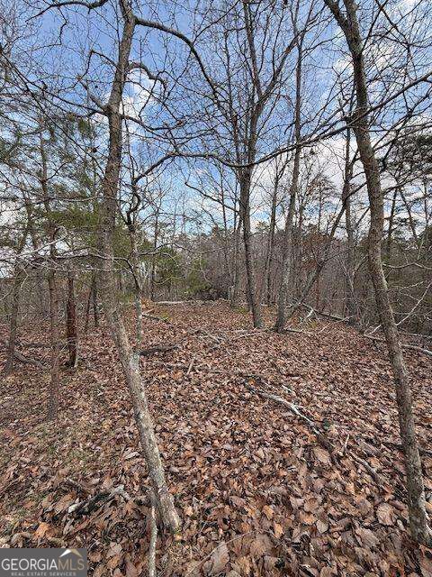 611 Pack Road Ne Property Photo 10
