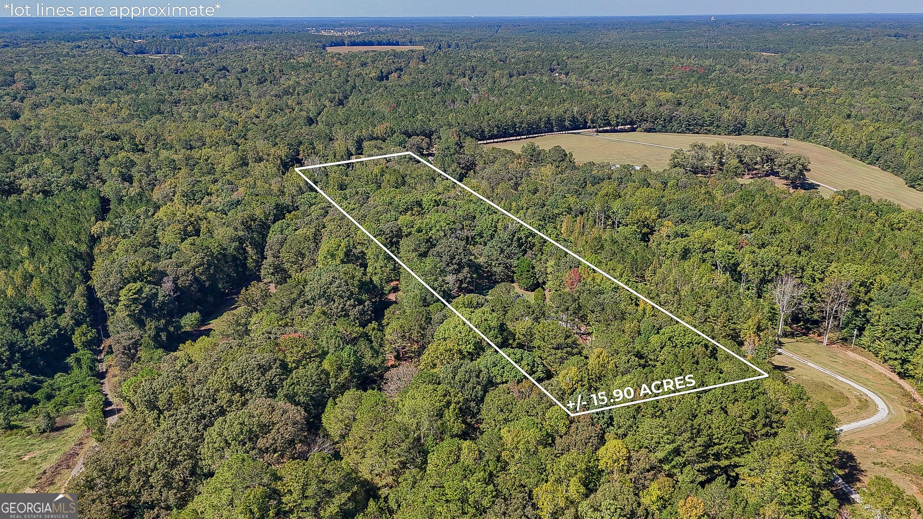 1735 Highway 85 Property Photo 6