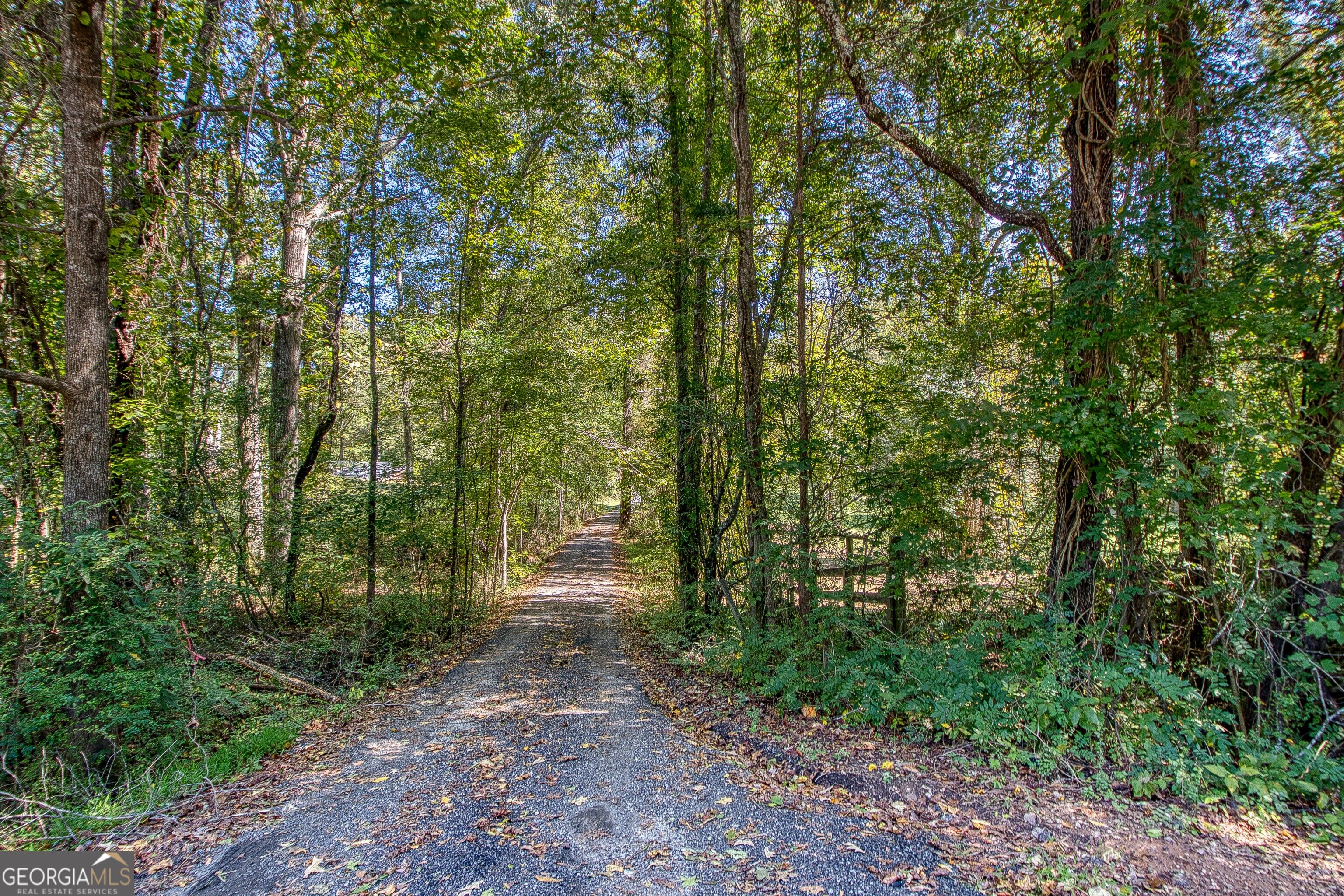 1735 Highway 85 Property Photo 7