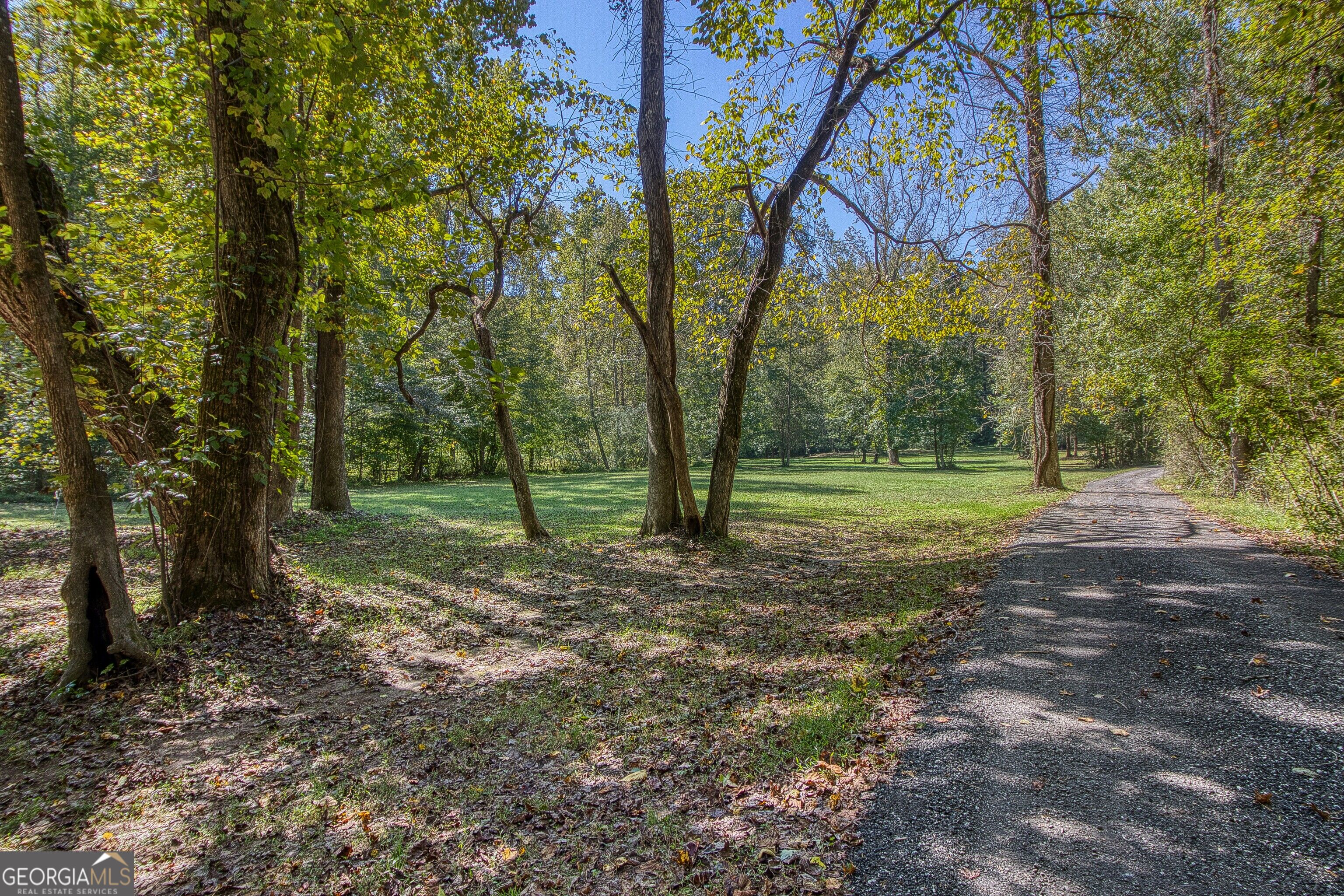 1735 Highway 85 Property Photo 8