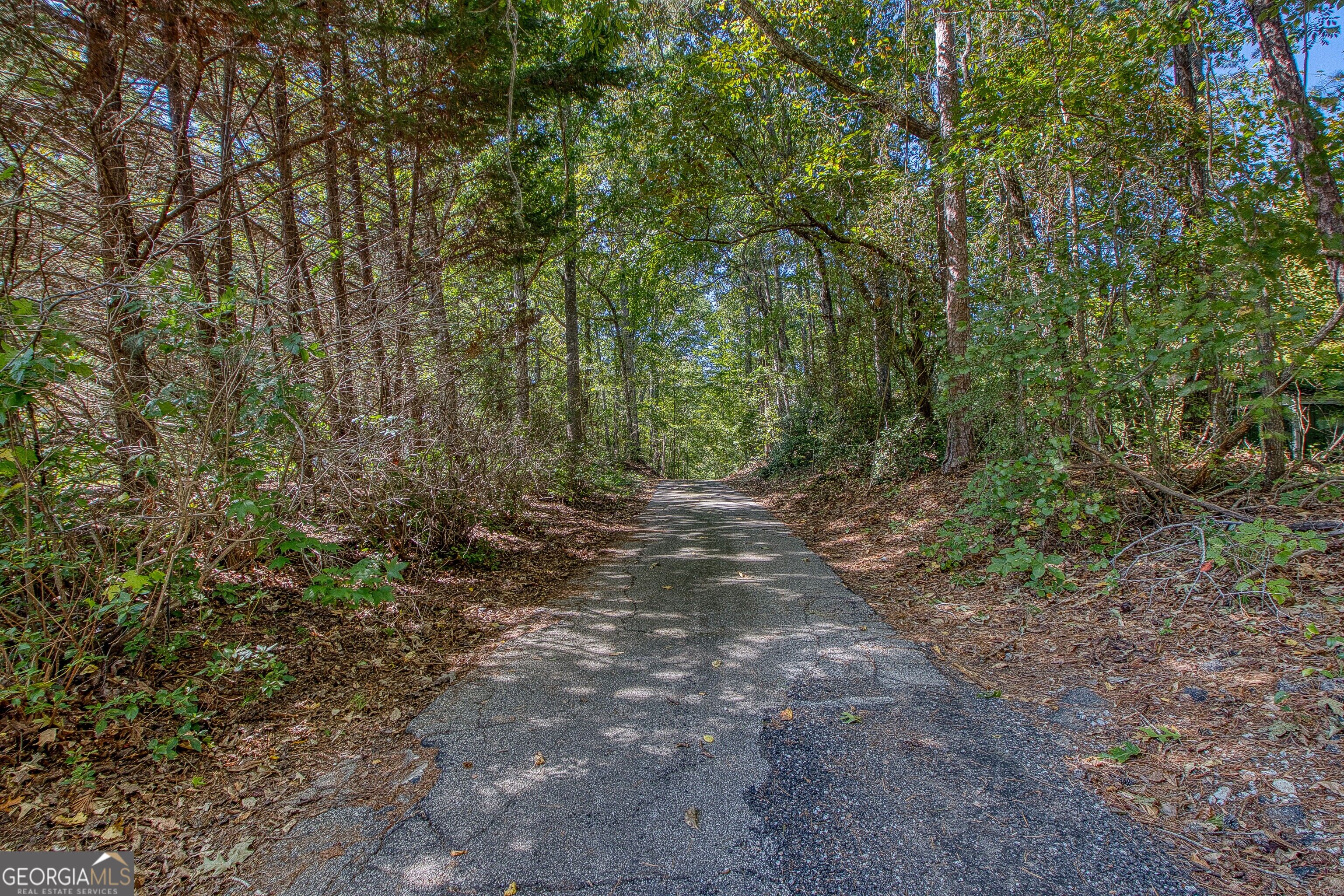 1735 Highway 85 Property Photo 9
