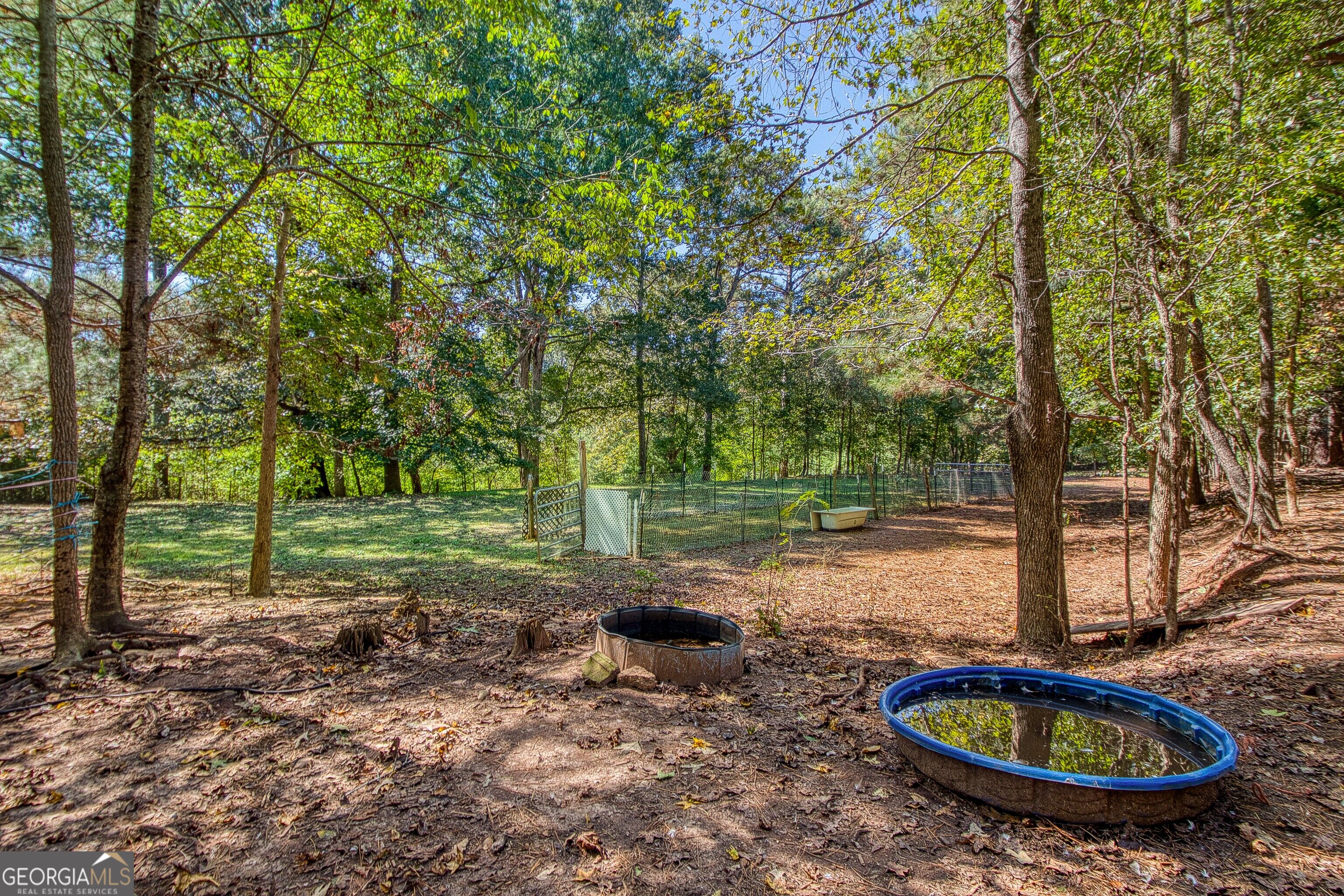 1735 Highway 85 Property Photo 67