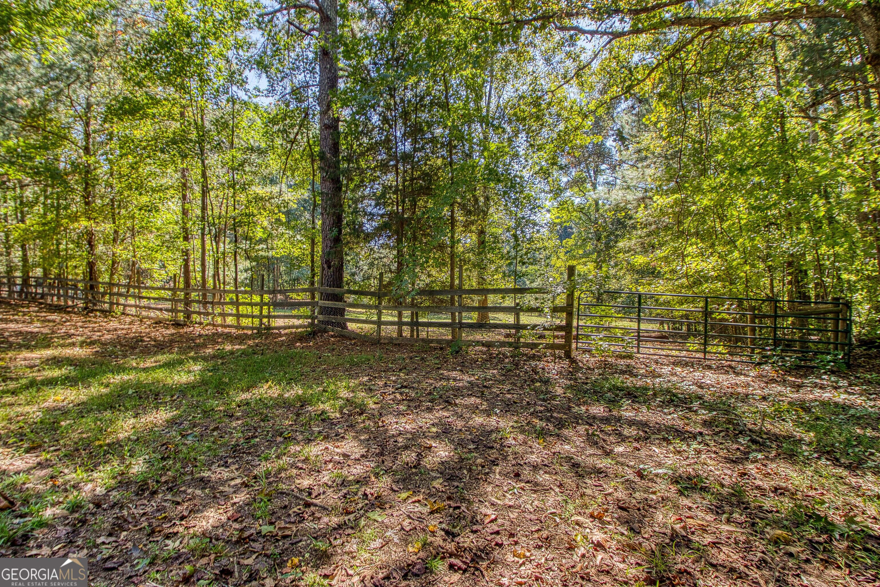 1735 Highway 85 Property Photo 68