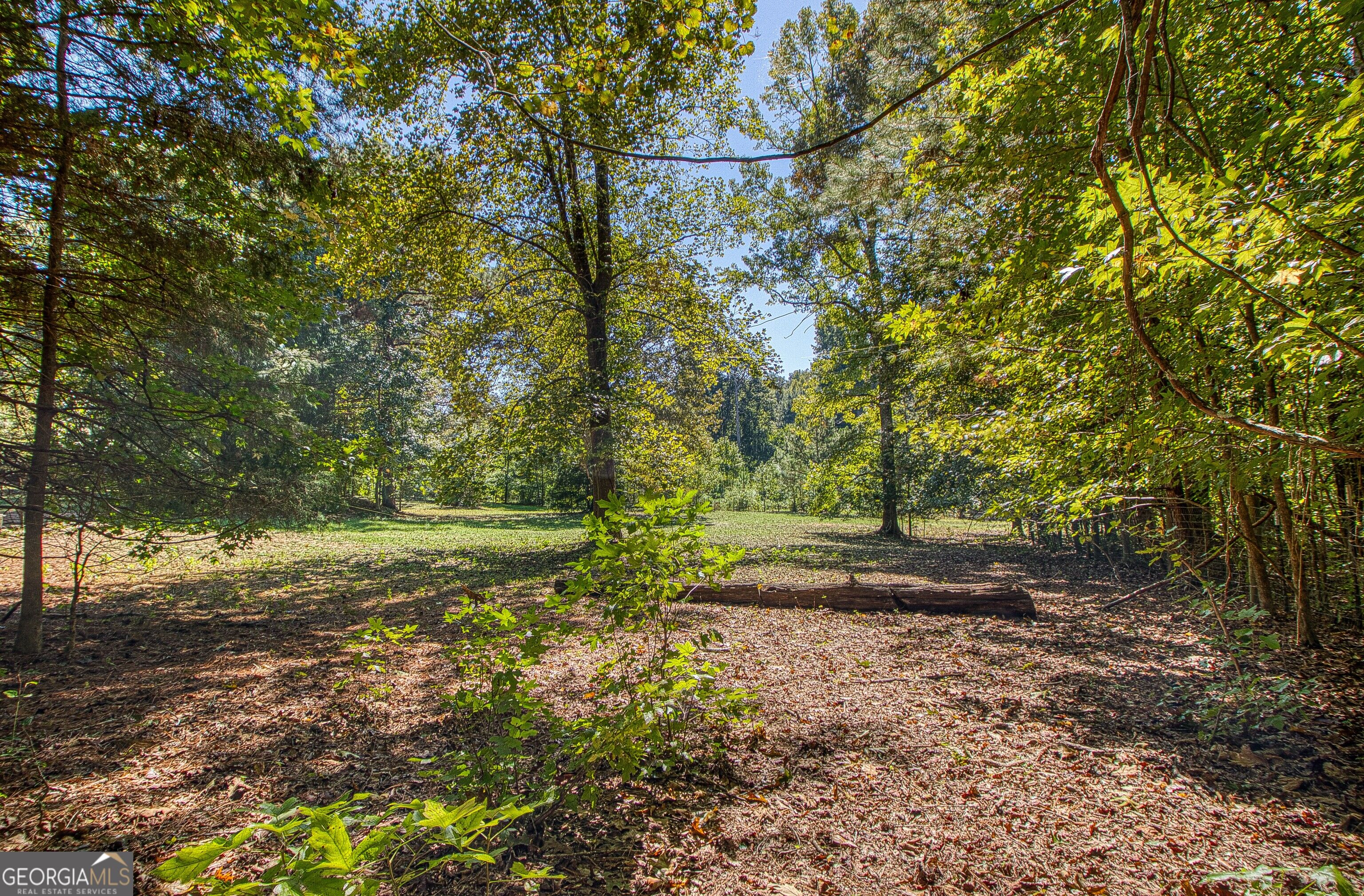 1735 Highway 85 Property Photo 69