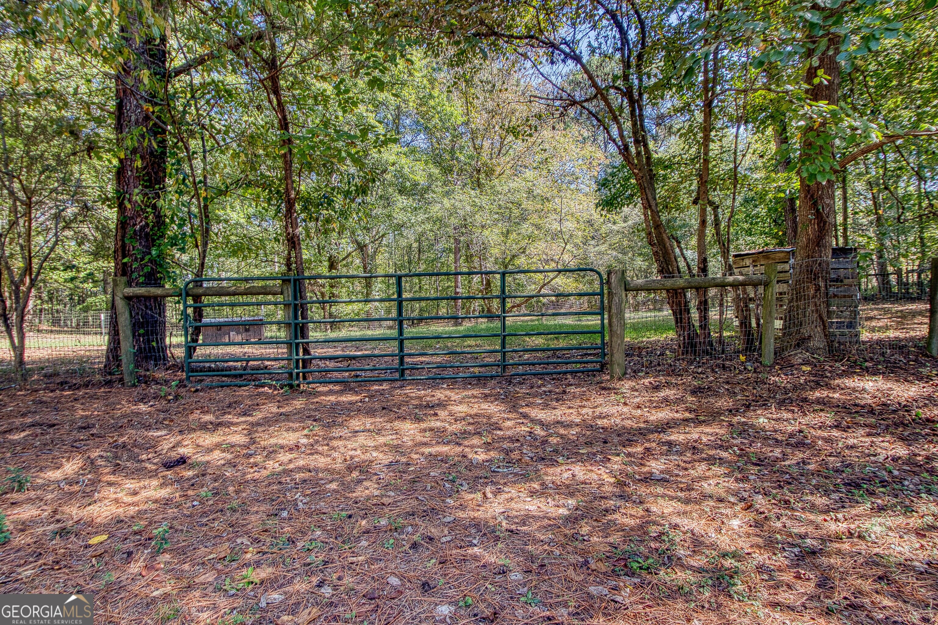 1735 Highway 85 Property Photo 71