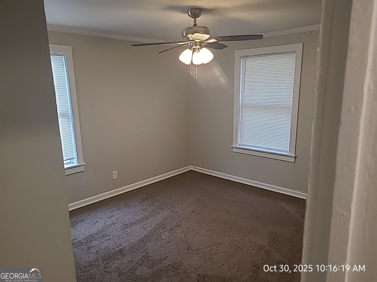 410 Horne Street Property Photo 3