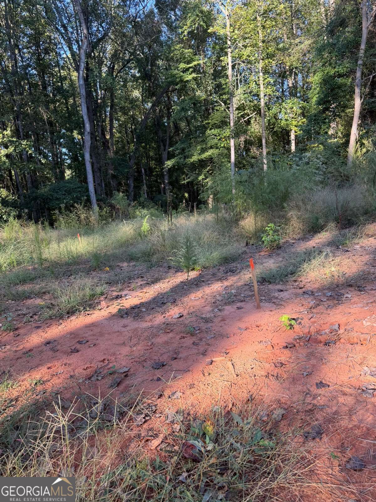 92 Ida Pace Road Property Photo 2