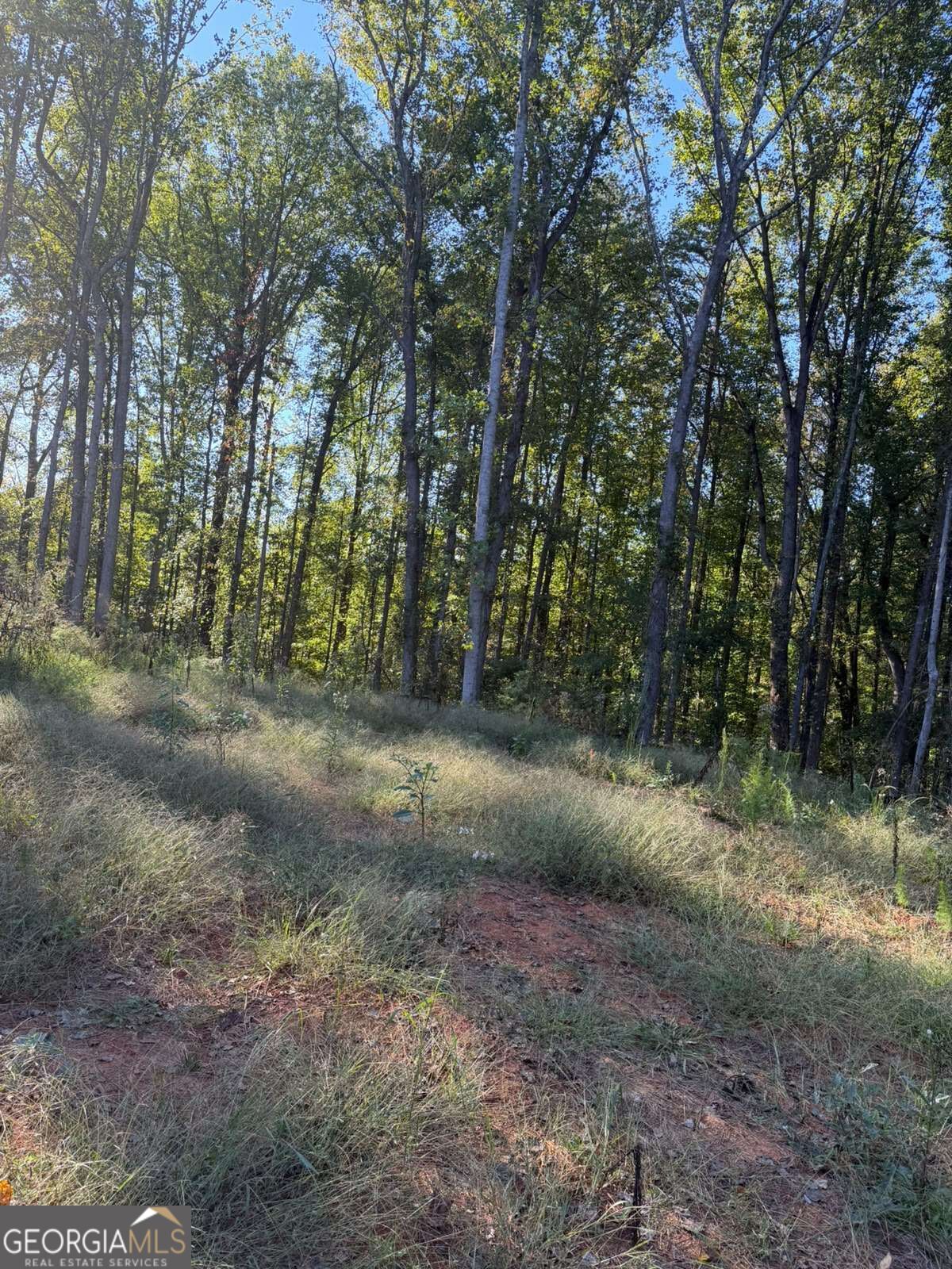 92 Ida Pace Road Property Photo 5