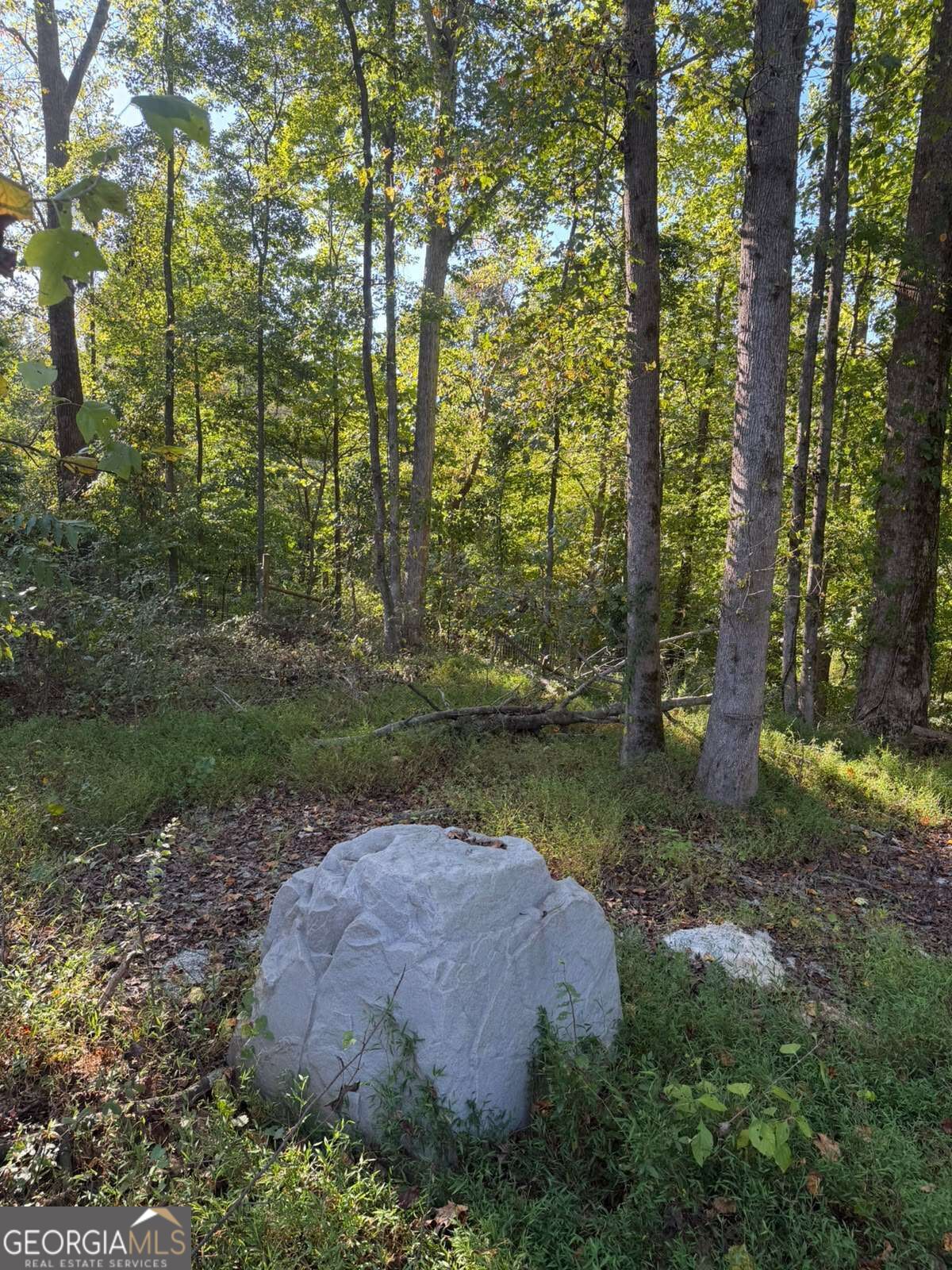 92 Ida Pace Road Property Photo 8