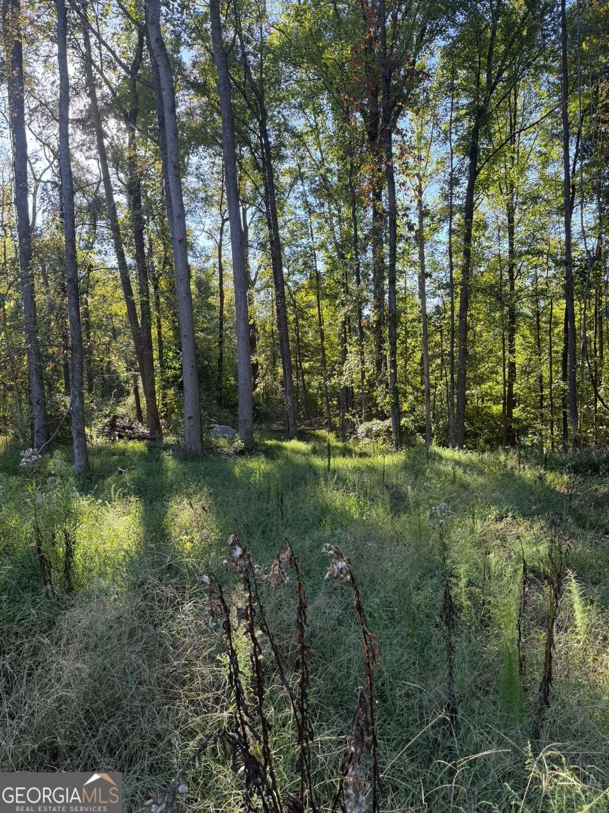 92 Ida Pace Road Property Photo 10