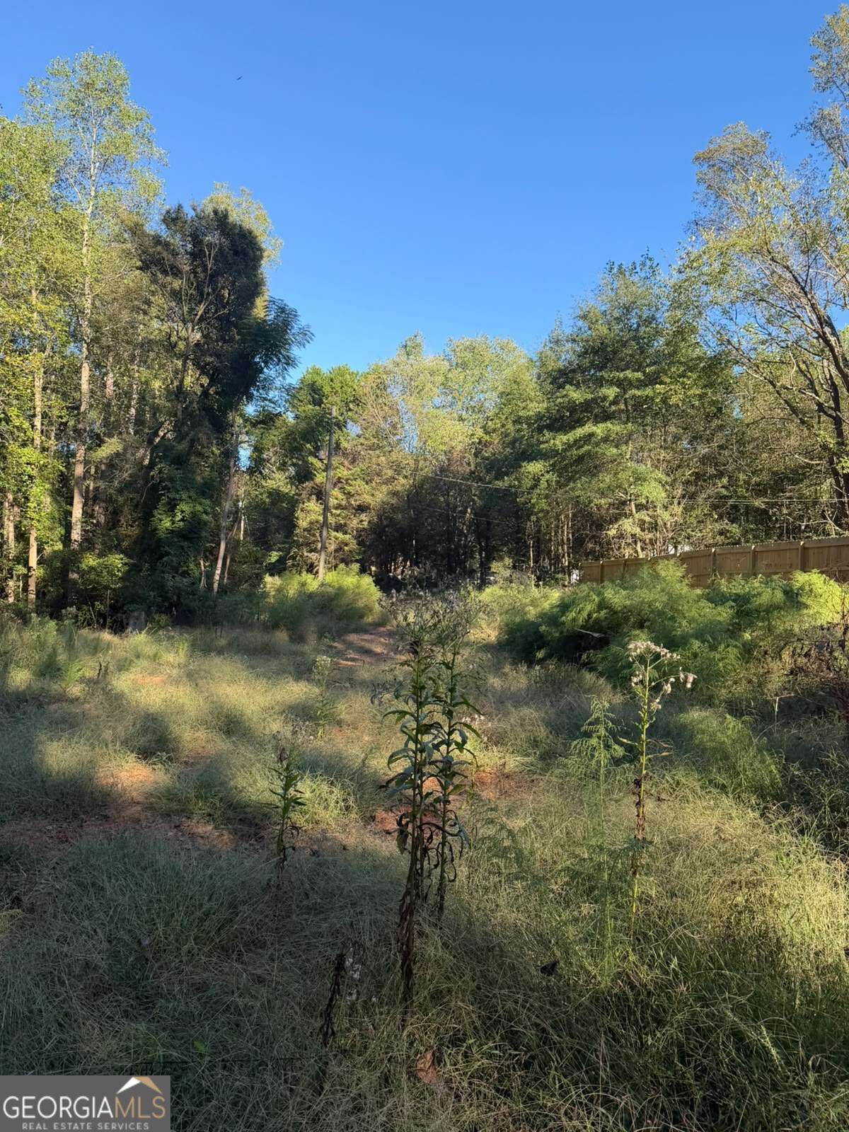92 Ida Pace Road Property Photo 11