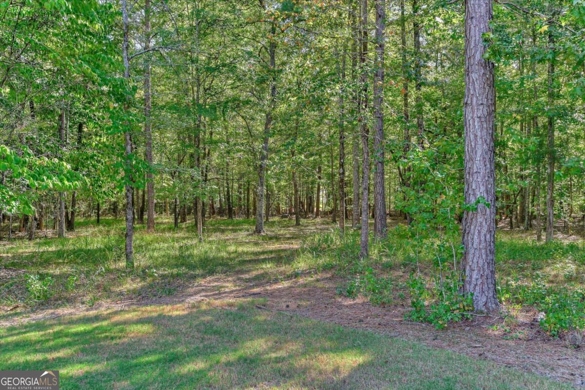 1021 Pointe S Property Photo 46