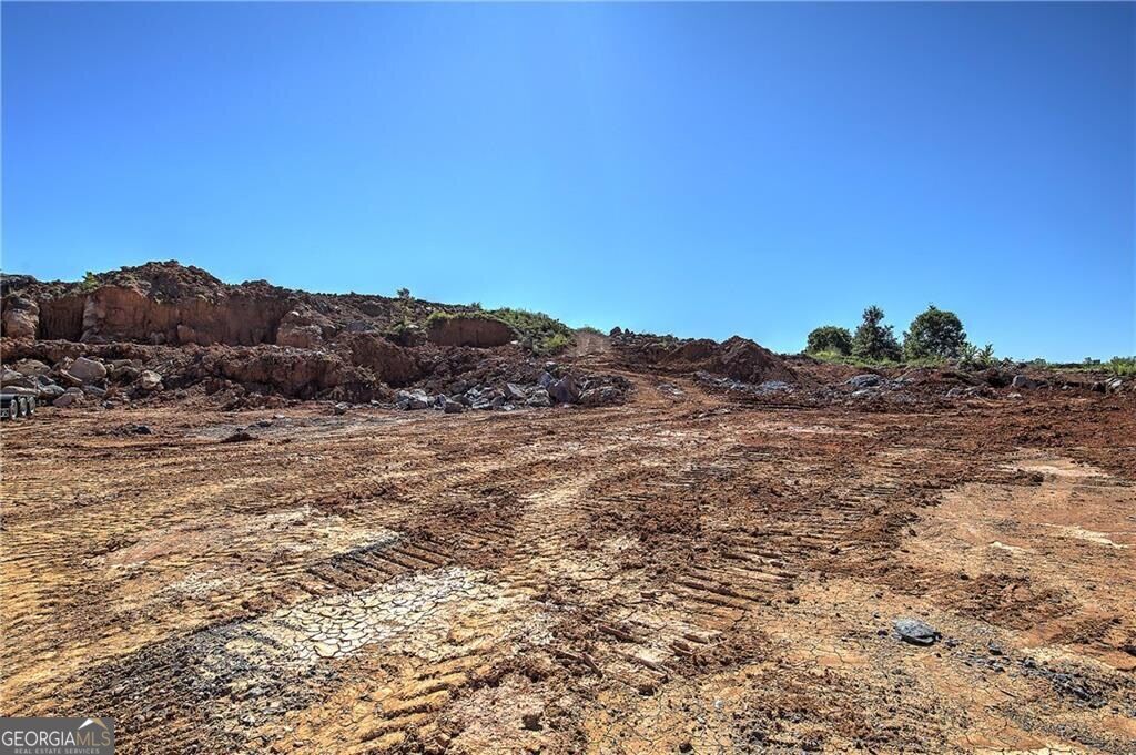 6300 Joe Frank Harris Parkway Property Photo 5