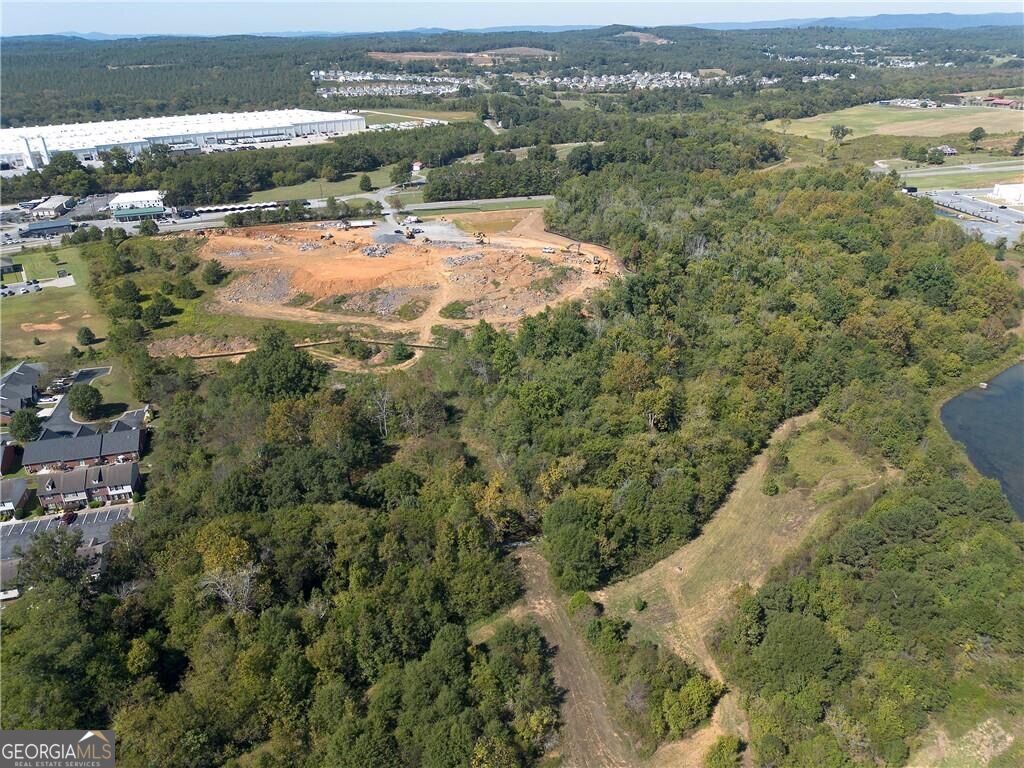 6300 Joe Frank Harris Parkway Property Photo 18