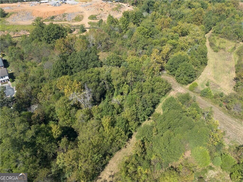 6300 Joe Frank Harris Parkway Property Photo 20