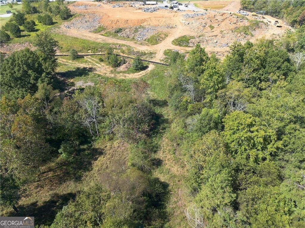 6300 Joe Frank Harris Parkway Property Photo 21