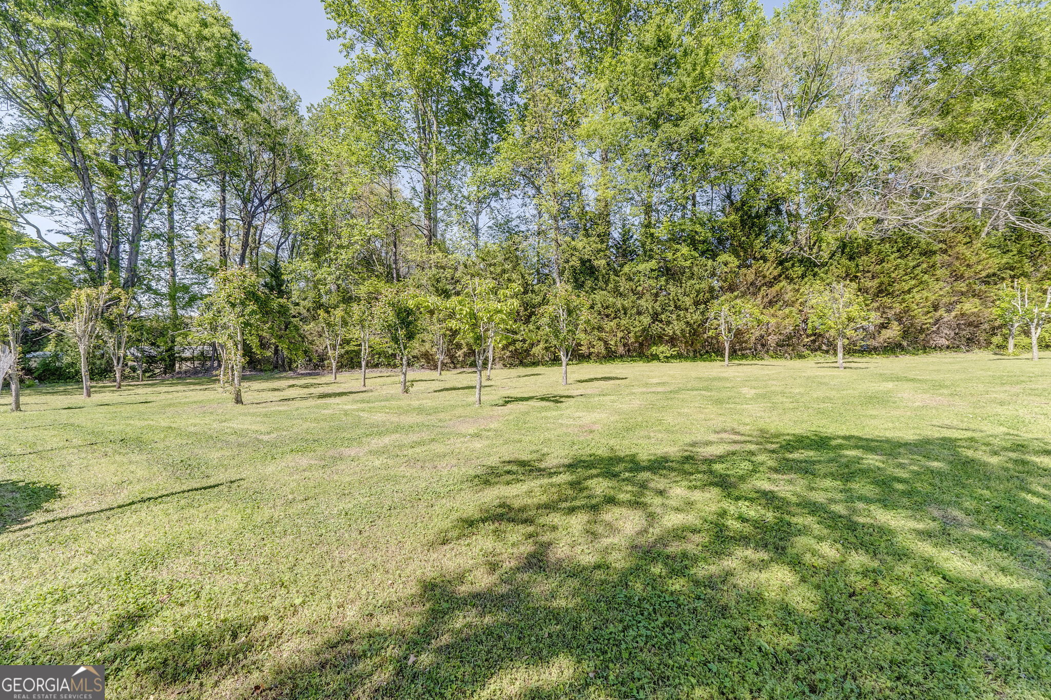 7360 Highway 48 Property Photo 53