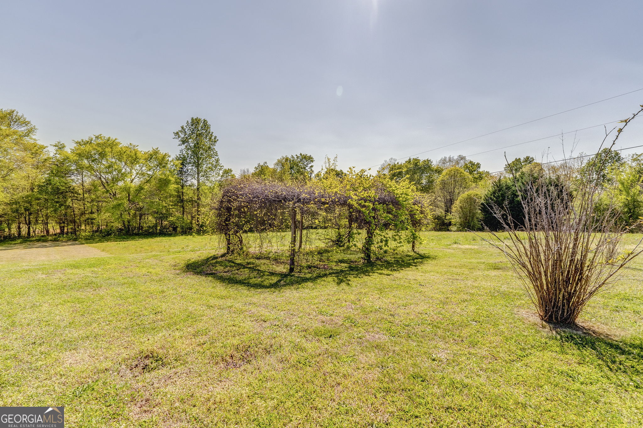 7360 Highway 48 Property Photo 54