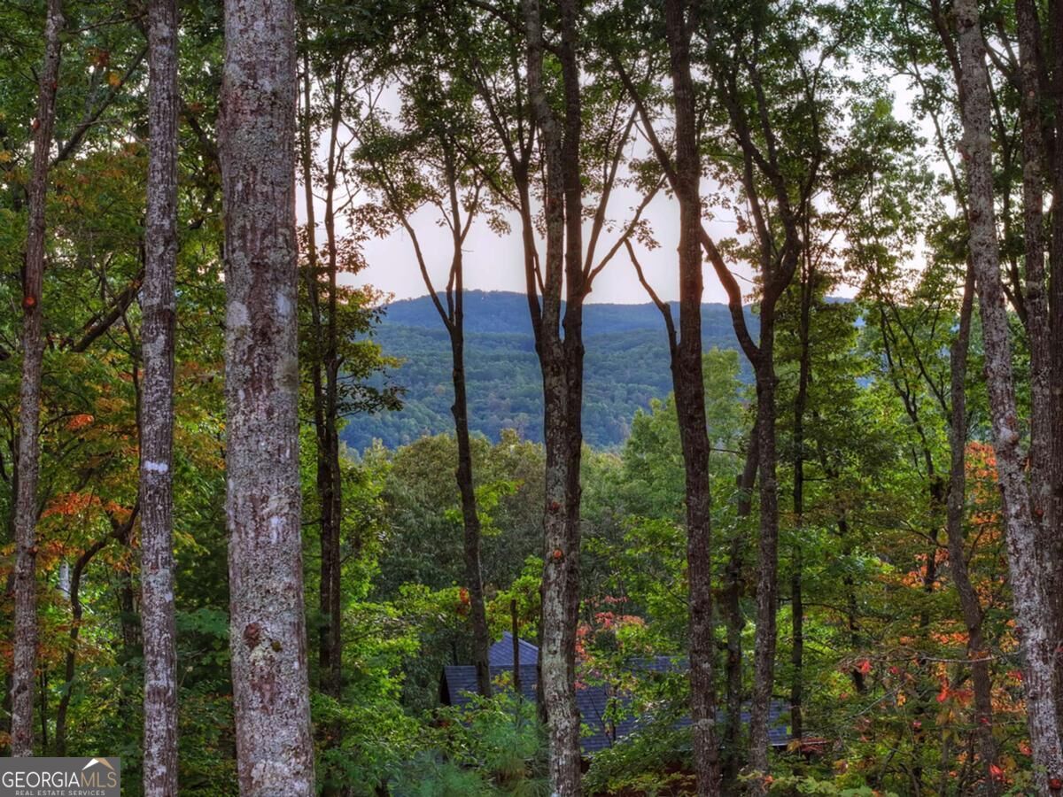 357 Spring Ridge Trail Property Photo 4