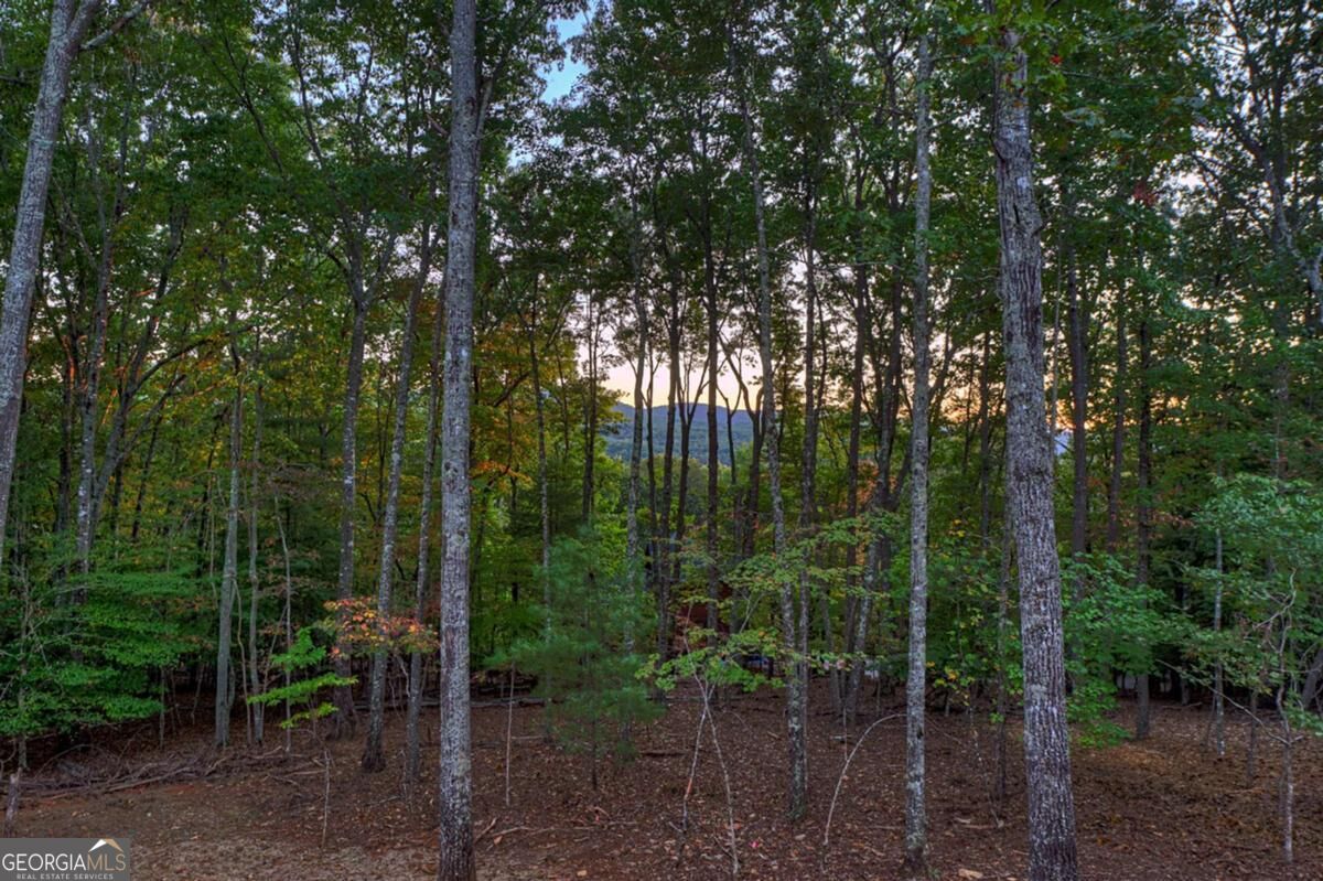 357 Spring Ridge Trail Property Photo 44