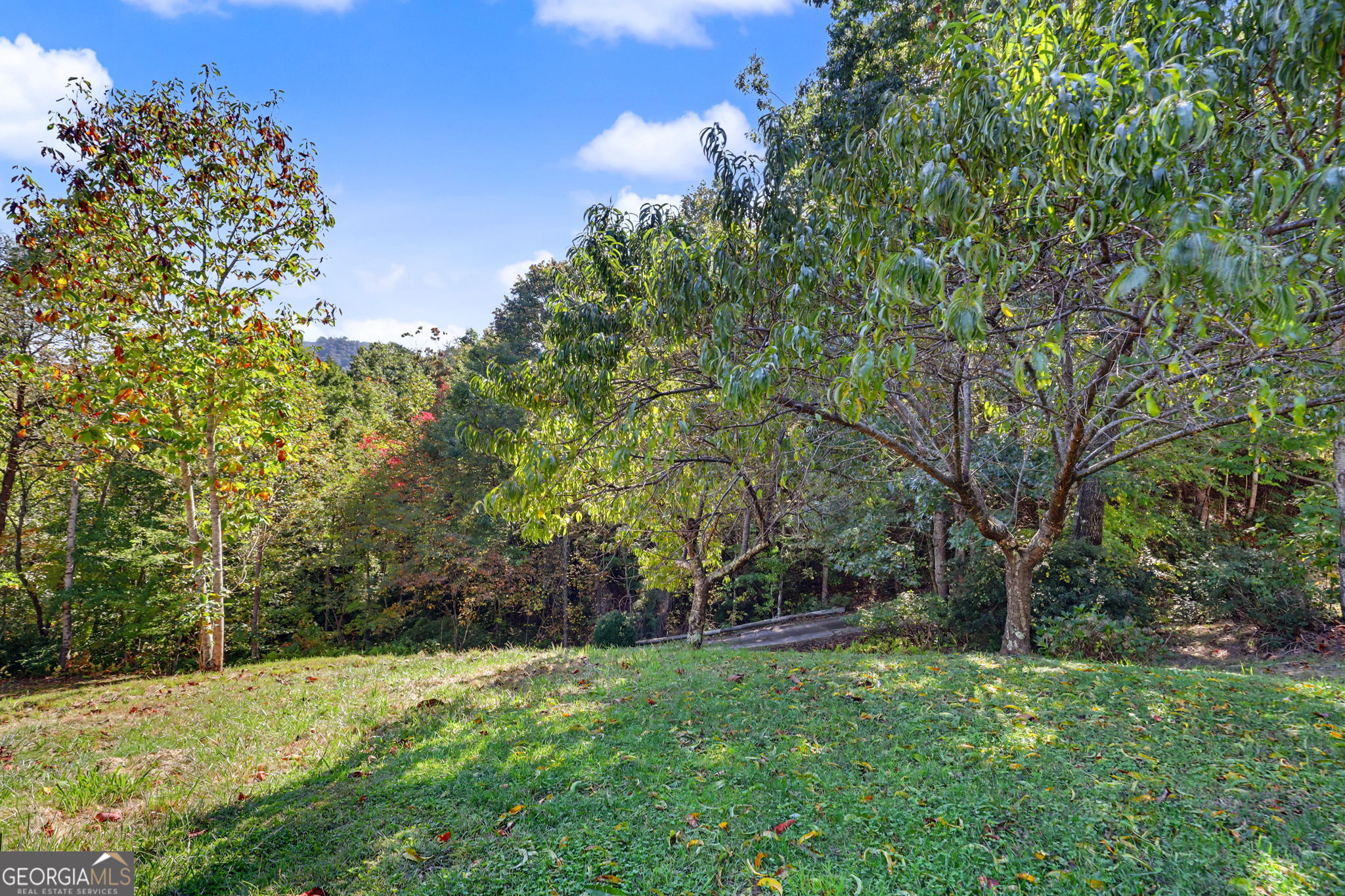 49 Vine Hill Lane Property Photo 64