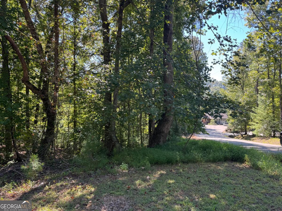 2.5 Ac Mango Lane # 733 Property Photo 2