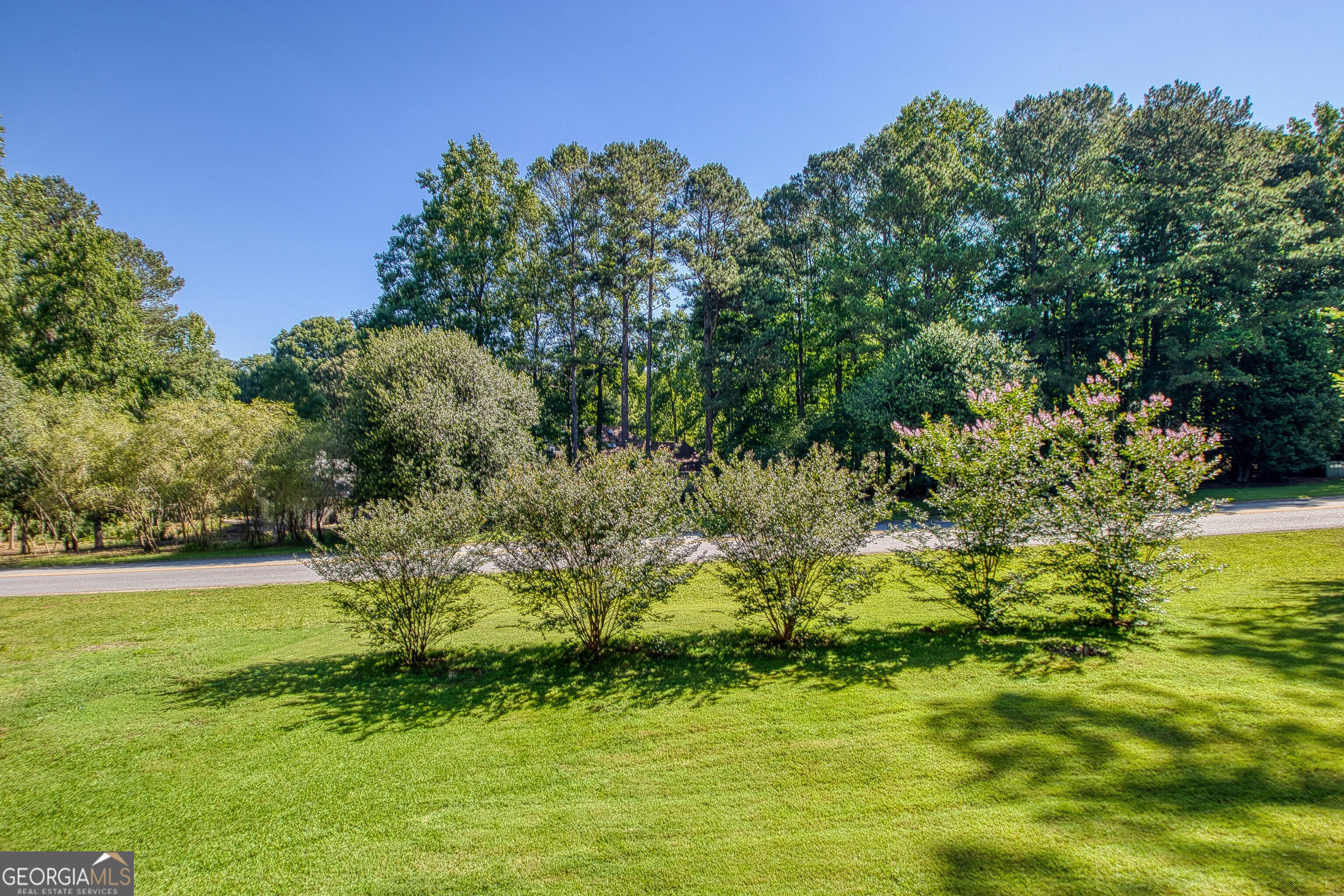 108 Tuliptree Terrace Property Photo 59