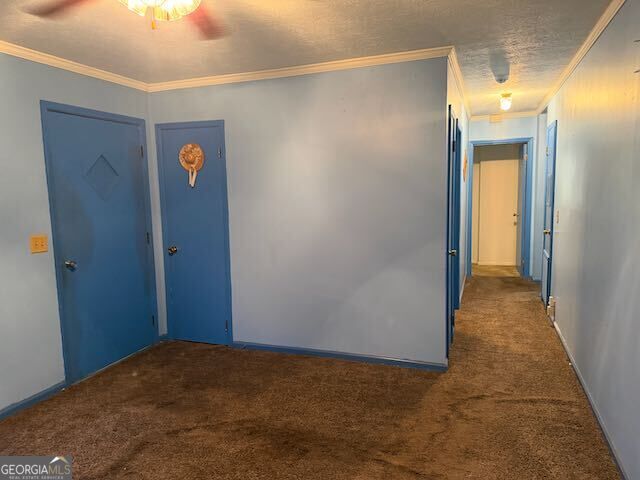 410 Spring Street Property Photo 12